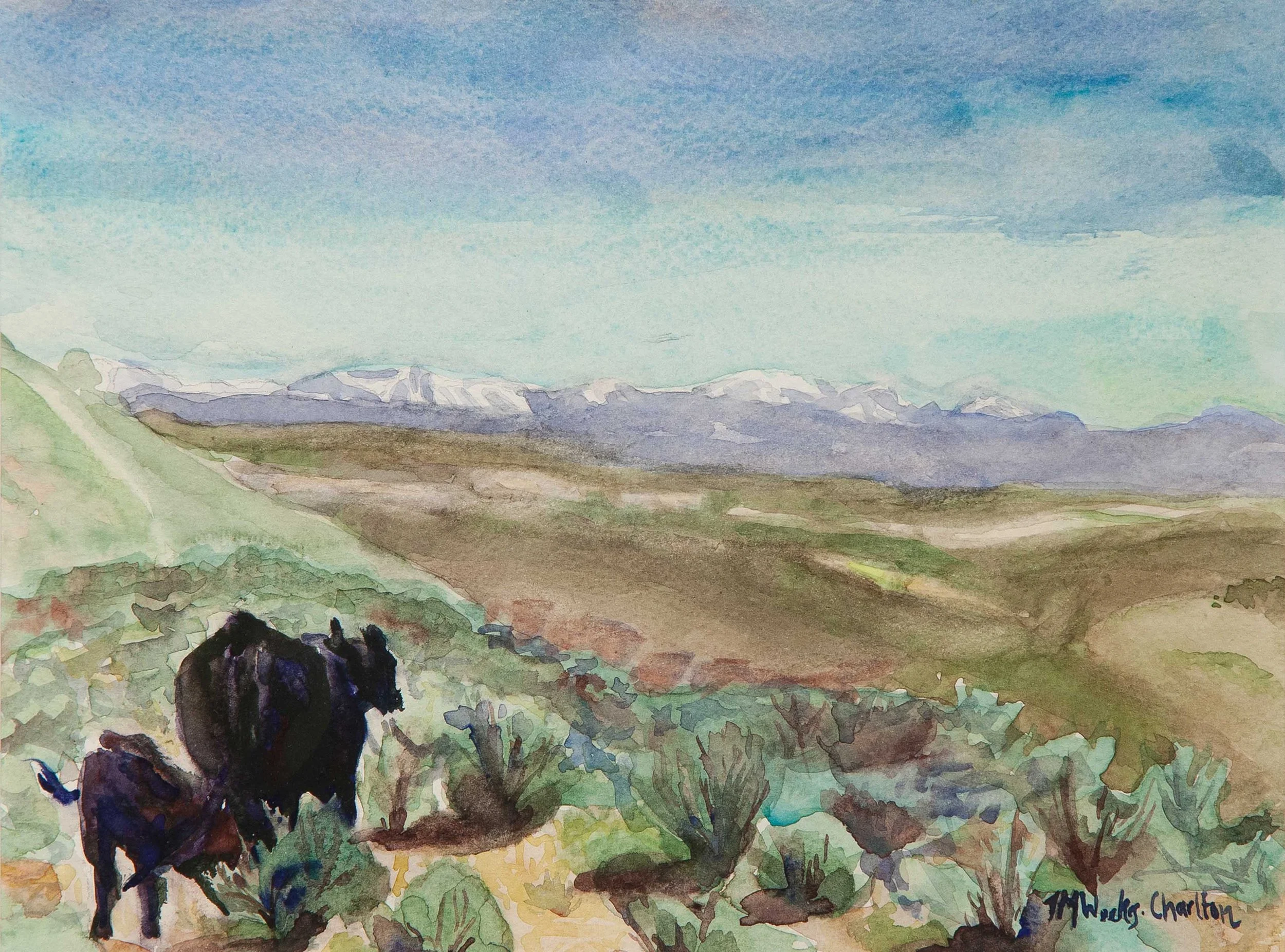 Trail to Jameson Lake