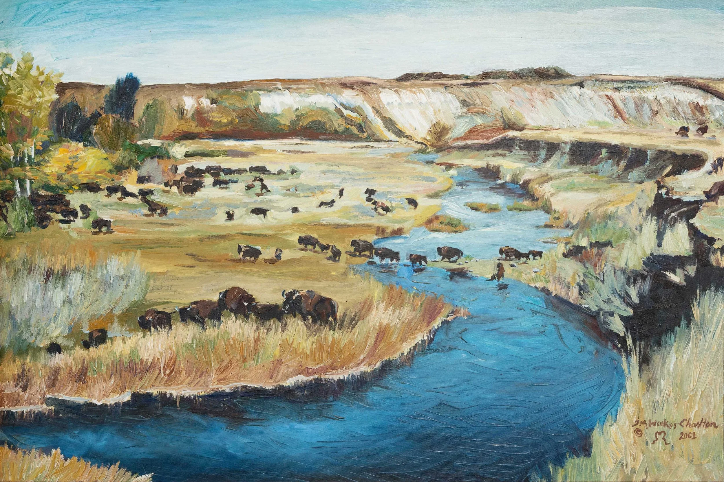 Buffalo Along the Cannonball River