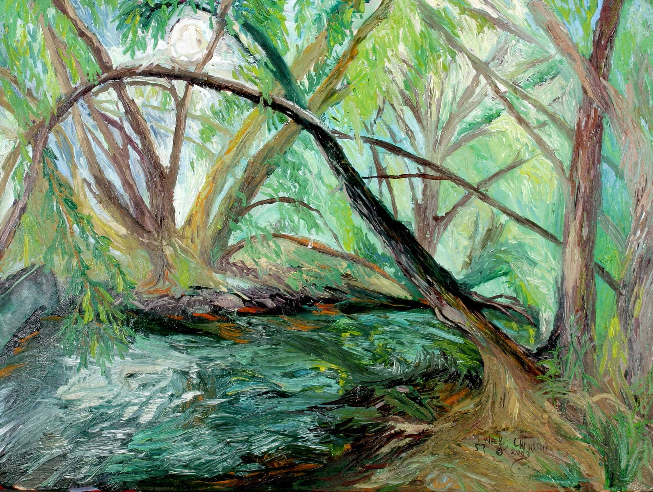 Looking Through Willows