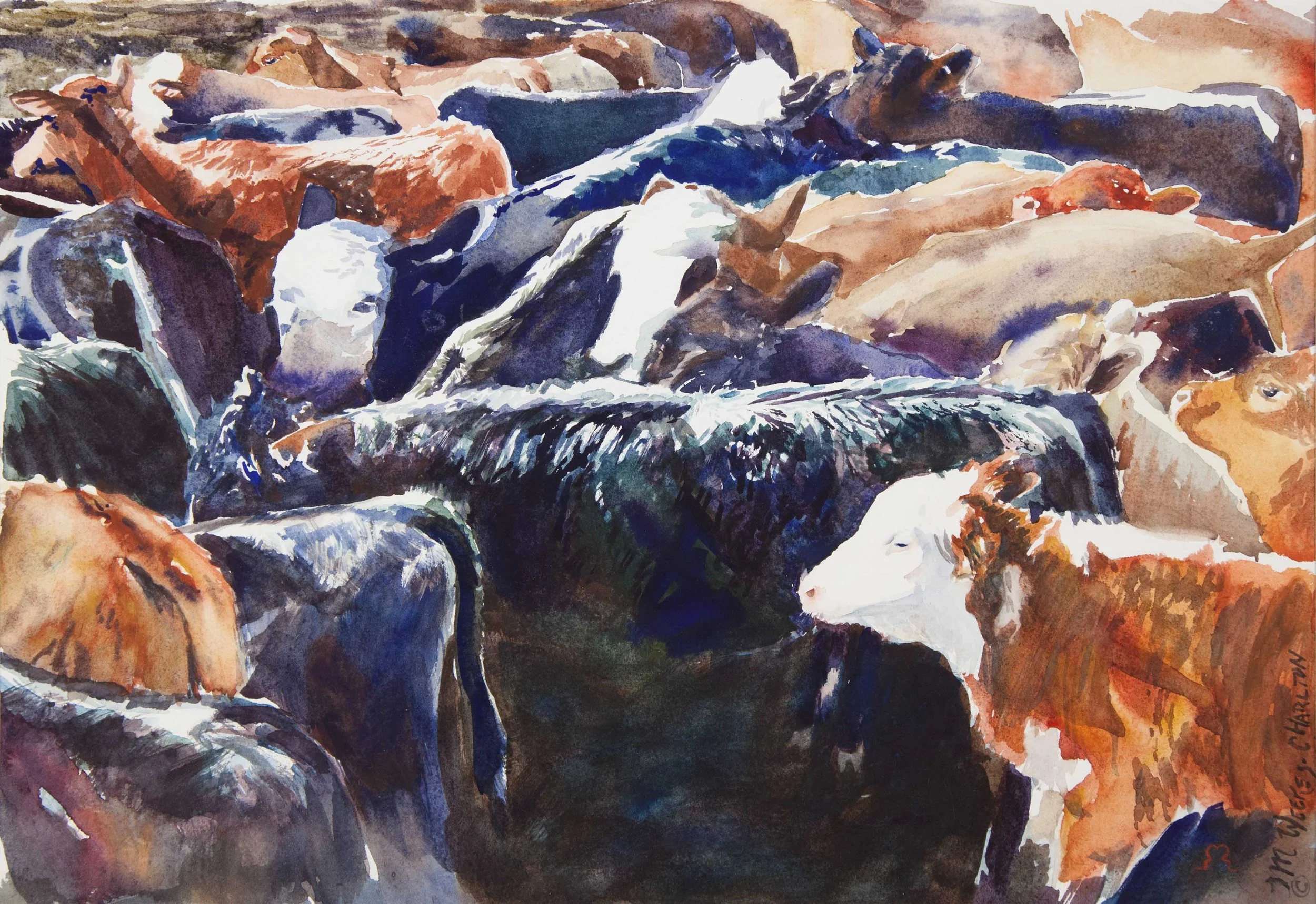 Brushstrokes & Baldies