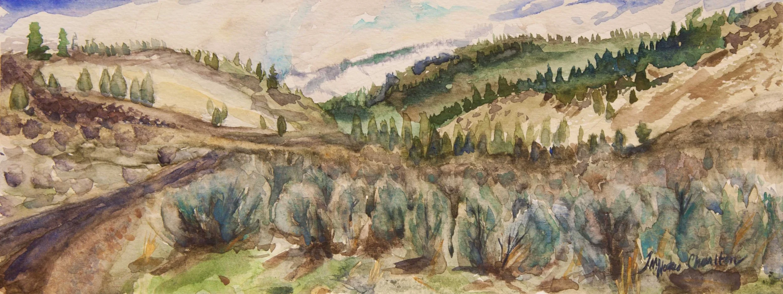 Coleman Canyon Squall