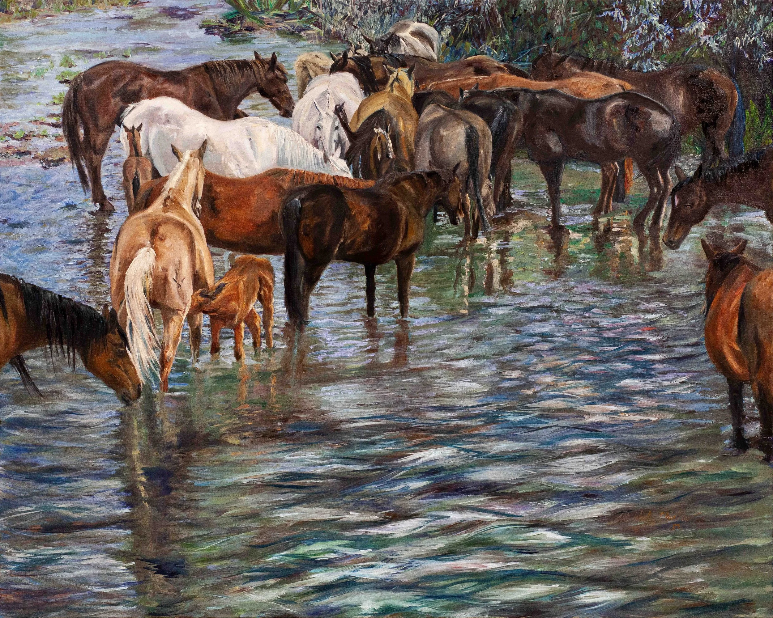 A group of horses crossing a shallow stream in a natural setting, with water and greenery around them.