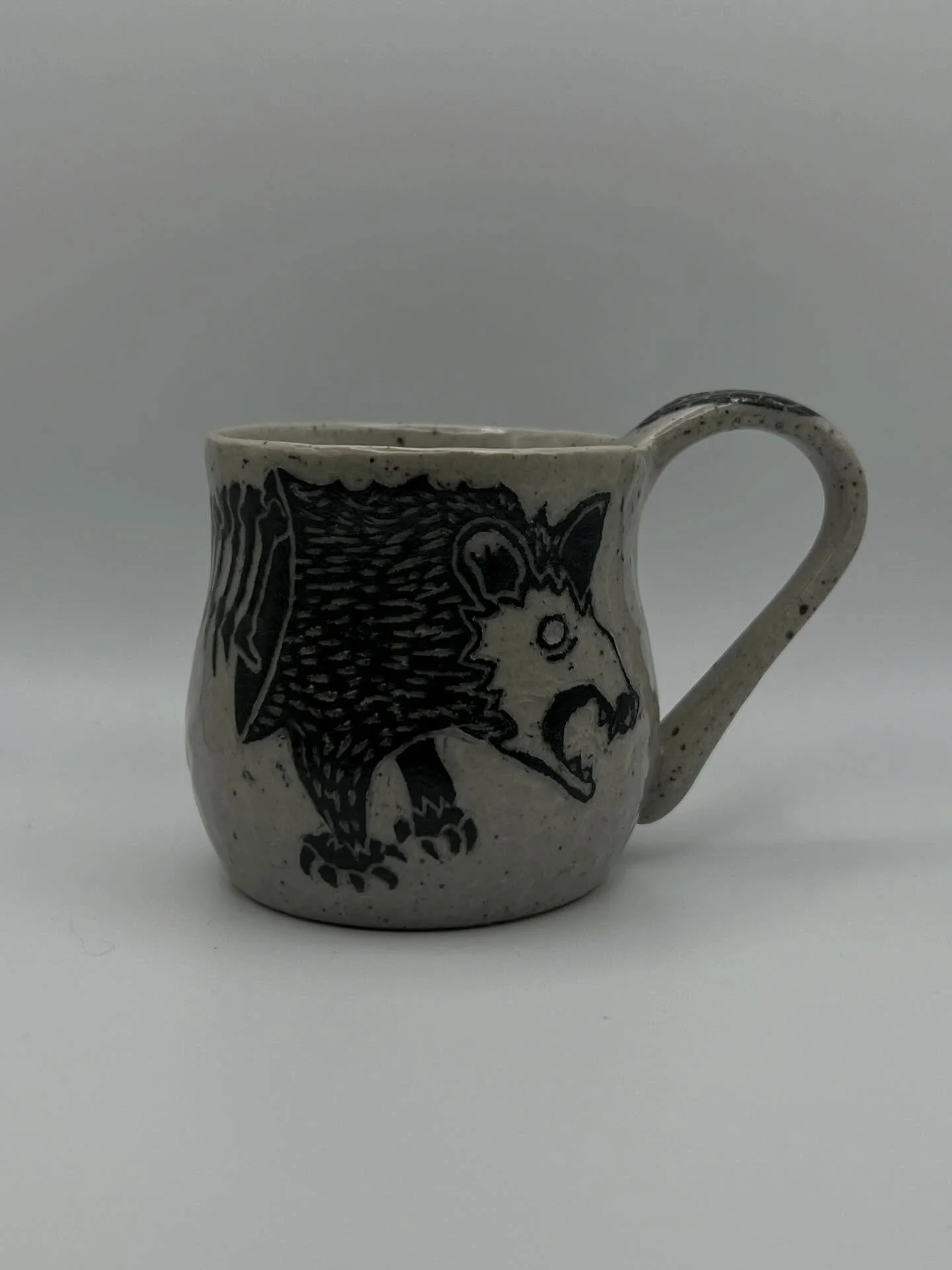 The newest edition to the Jawbone family 🥹 they grow up so fast! But actually, really fast, opossums only have a 1-2 year life span! But seeing as they are north americas ONLY marsupial I felt it necessary to give these cuties their moment ✨ 
.
.
.
