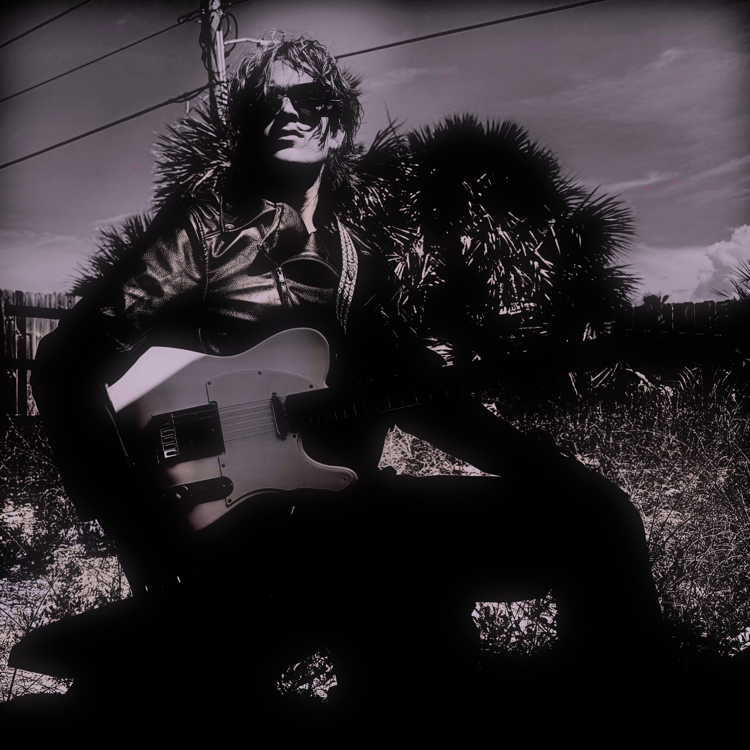 The Black Waves Collection - Wadaness (CD)