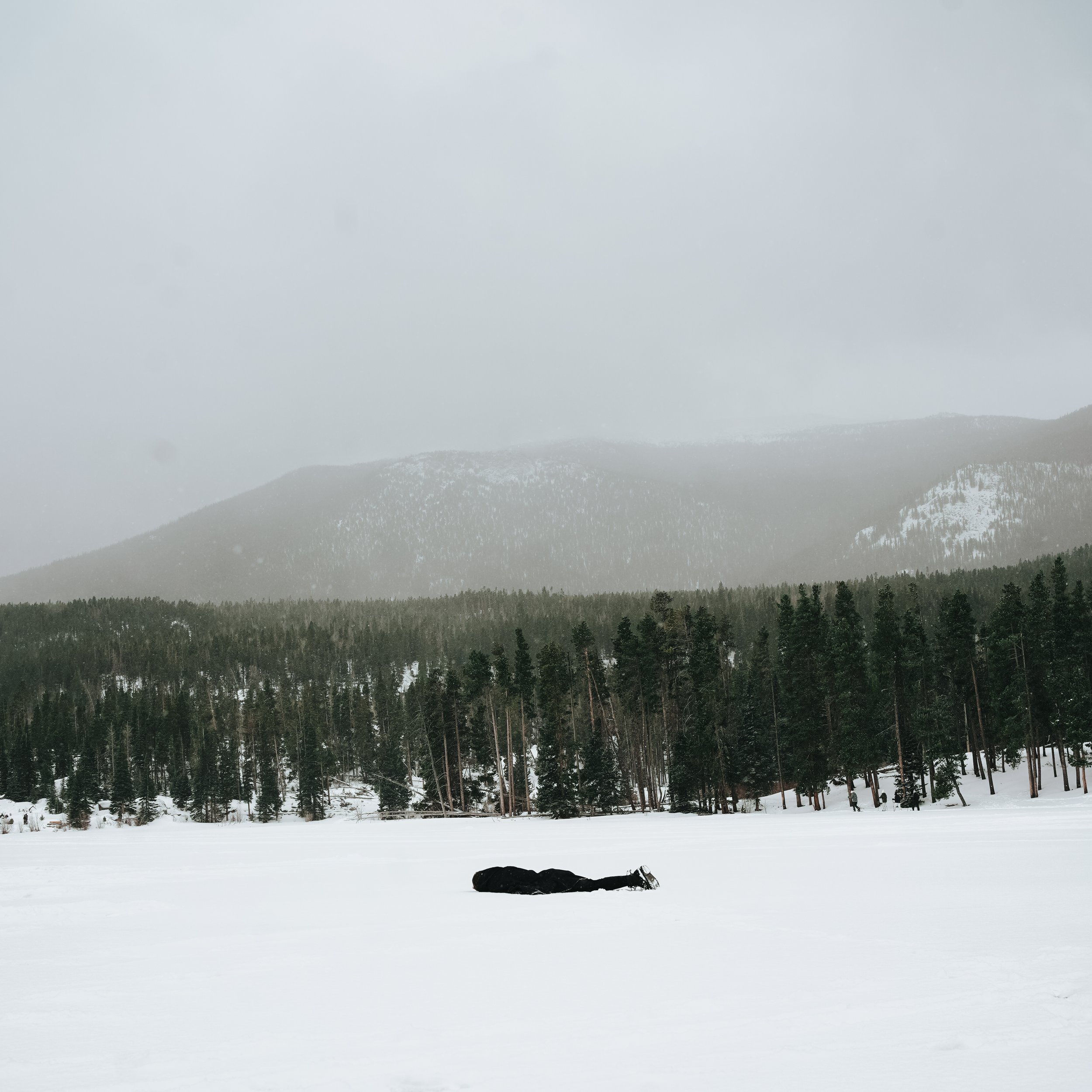 Nobody Marks Us - Not Satire (CD)