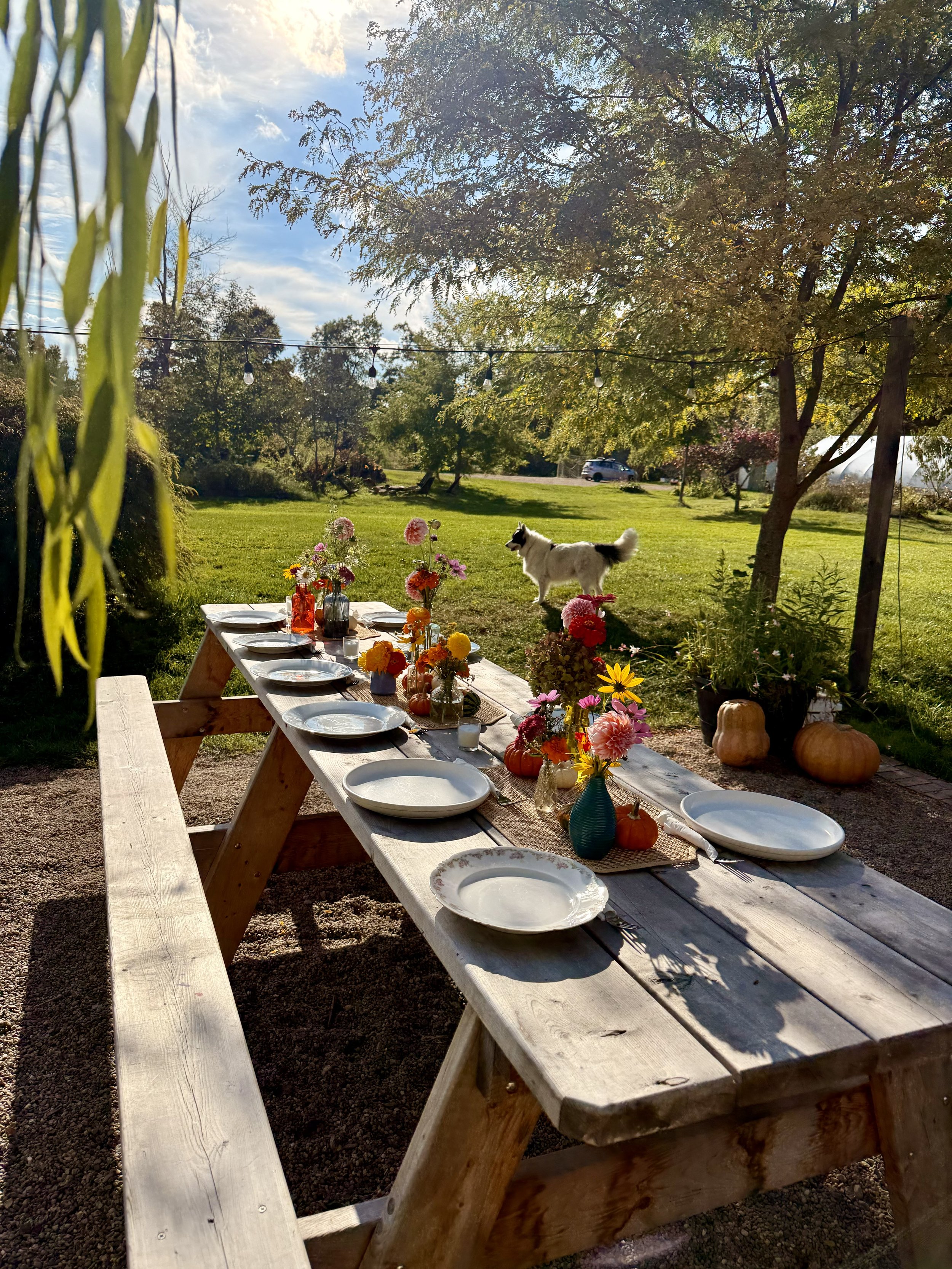 Farm to Table Dinner 