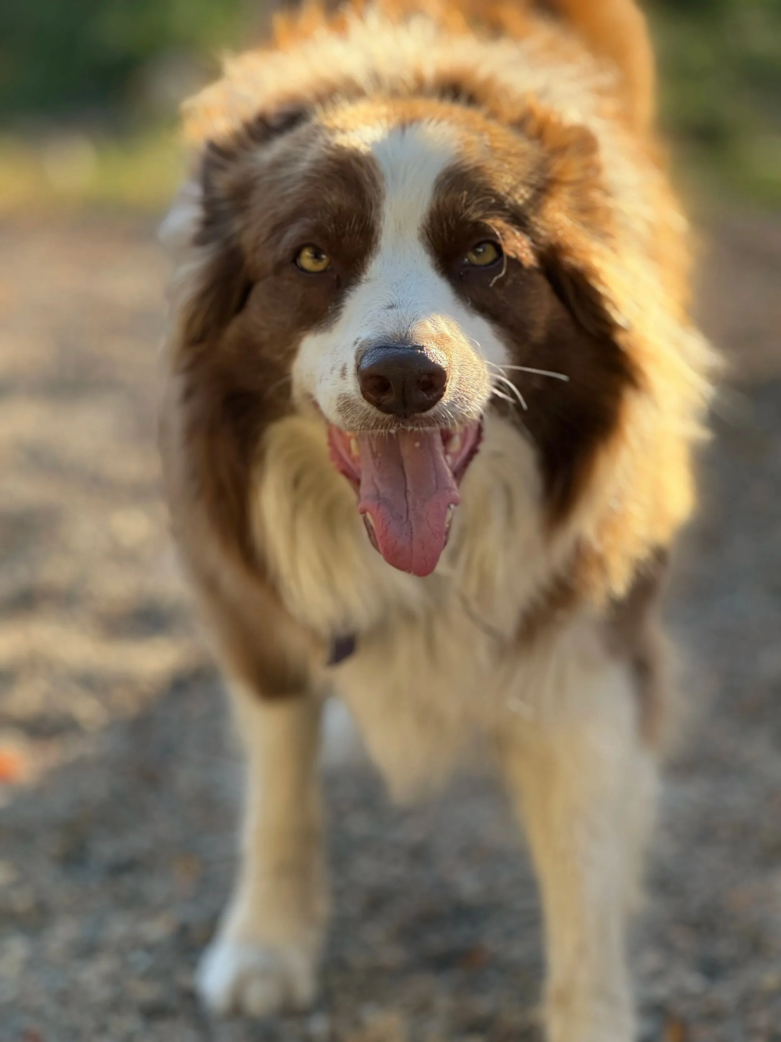 June is the life of the party. Play ball or else