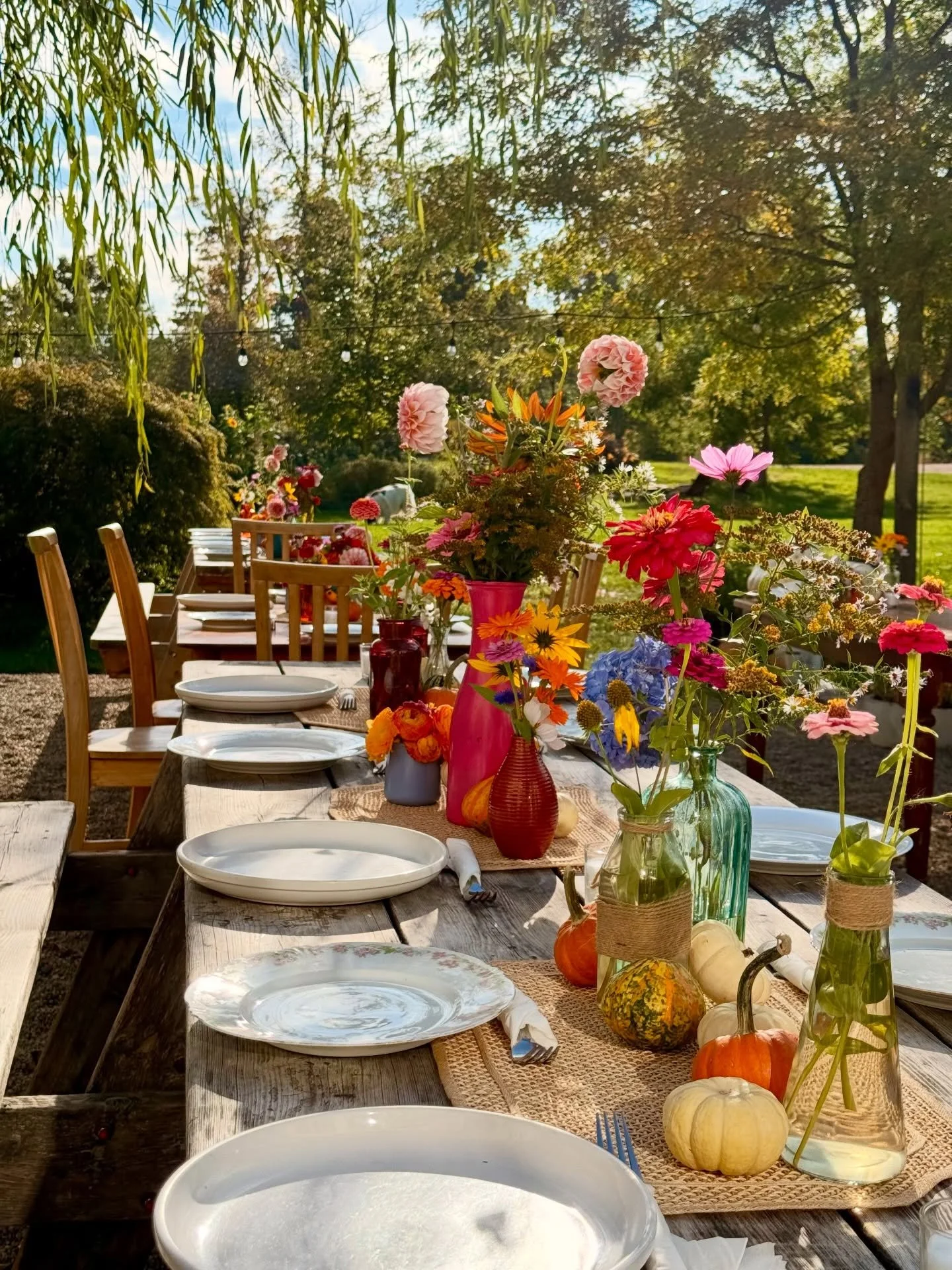 Farm-to-Table Dinner Series

Come for the food&mdash;stay for the experience.

Step away from the everyday and join us for an evening on the farm to slow down, savor, and connect.

Your experience begins with a guided tour through our gardens and orc