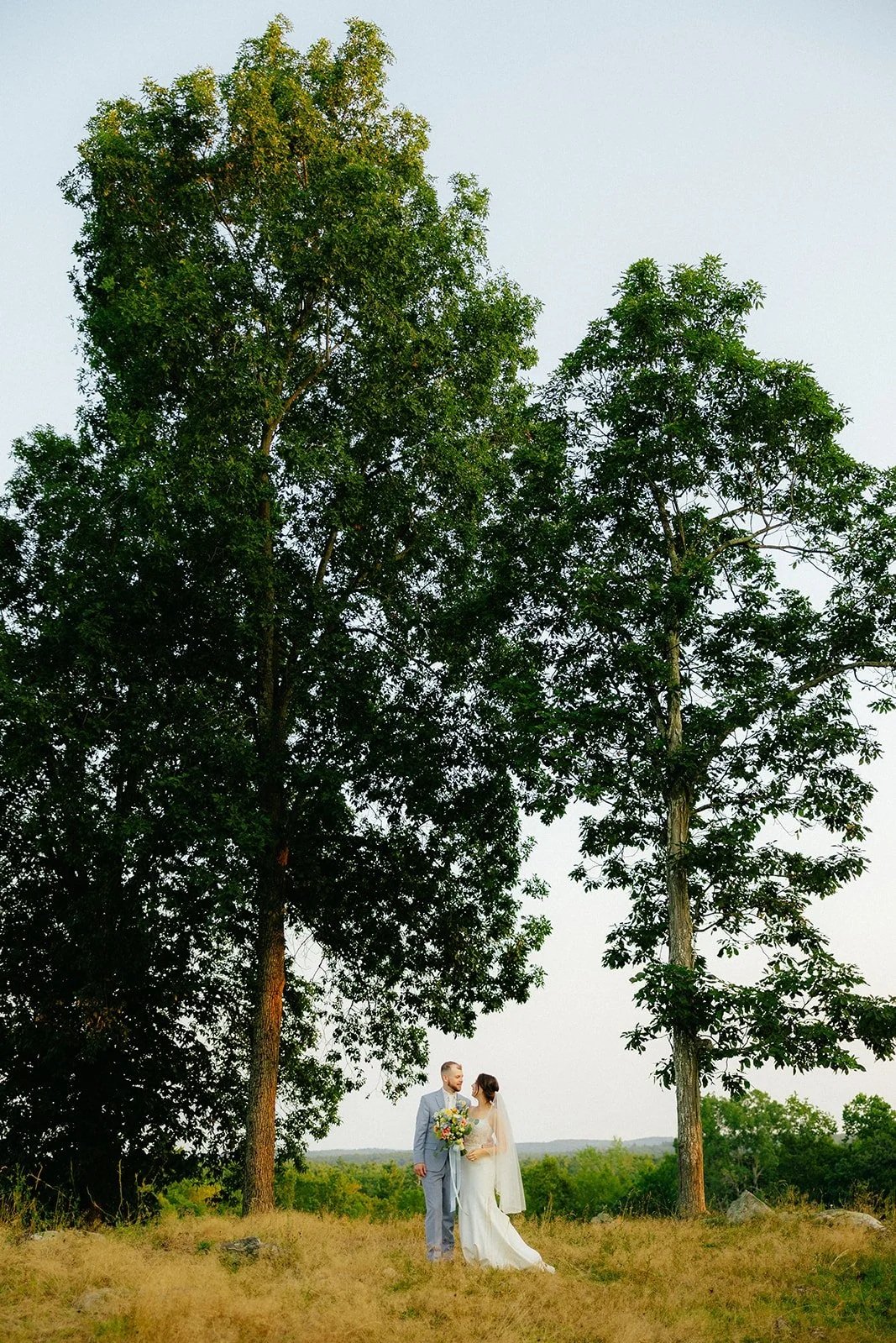 Wedding photo on pasture