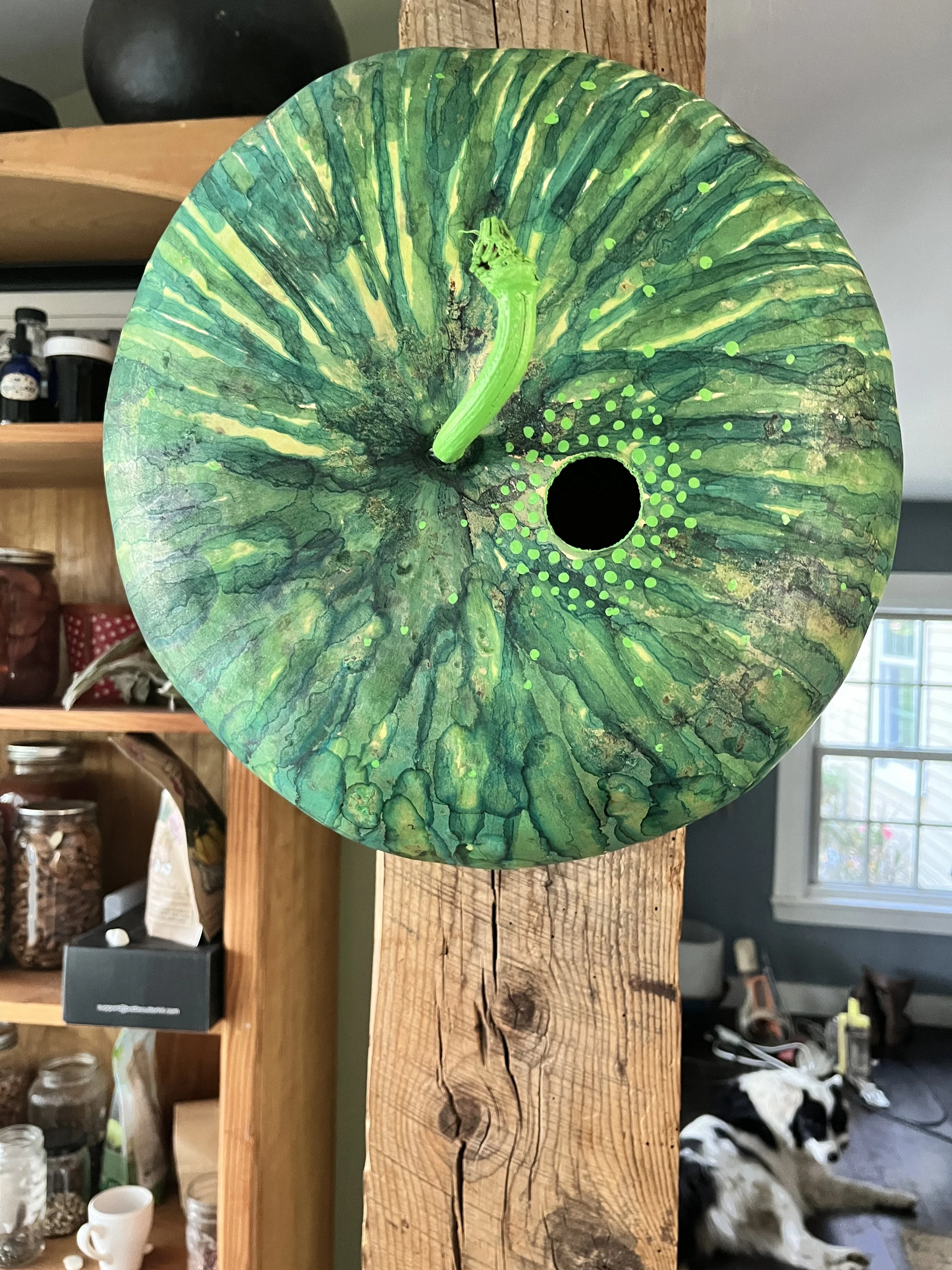 from gourd to birdhouse 