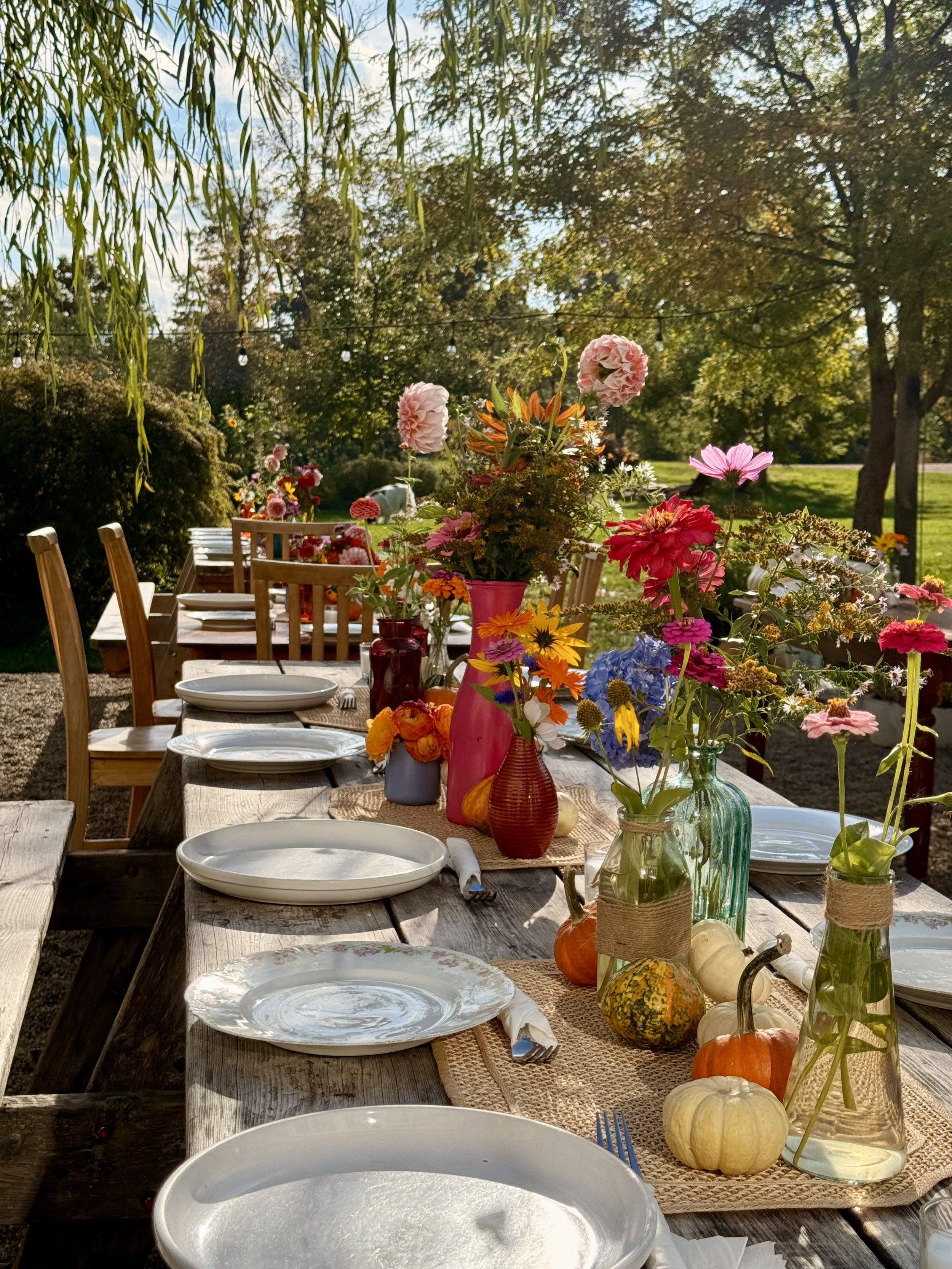 Our first farm to table dinner in 2024