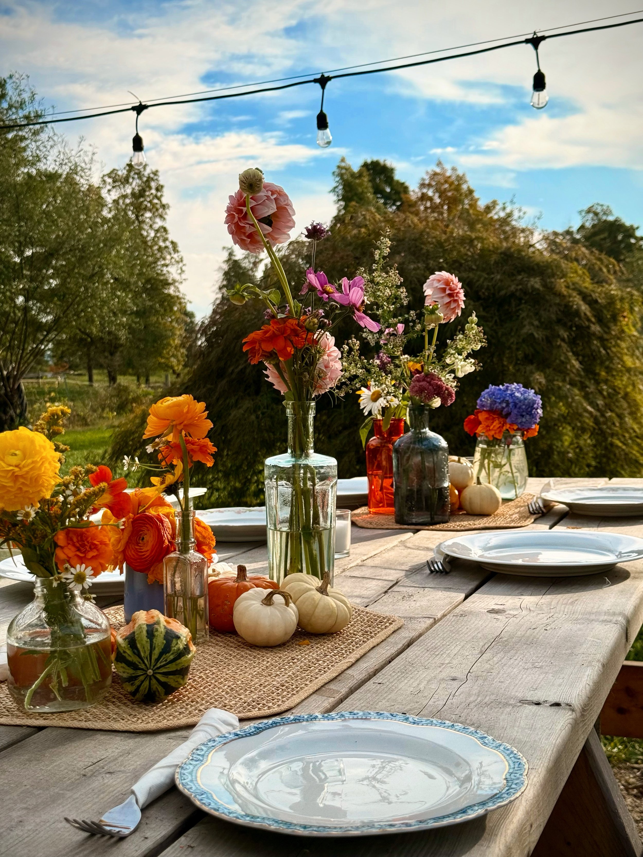 Farm To Table Dinner