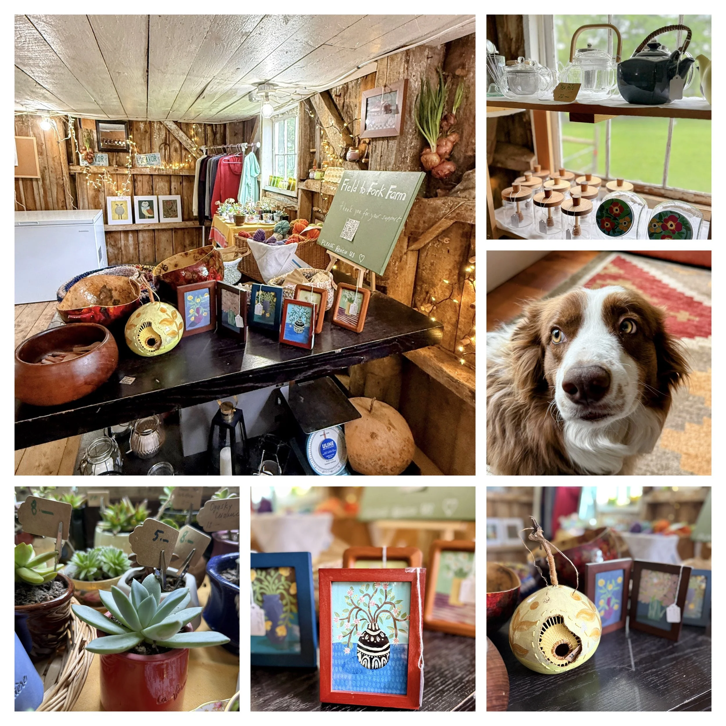 The Little Farm Shop with loads of treasures 