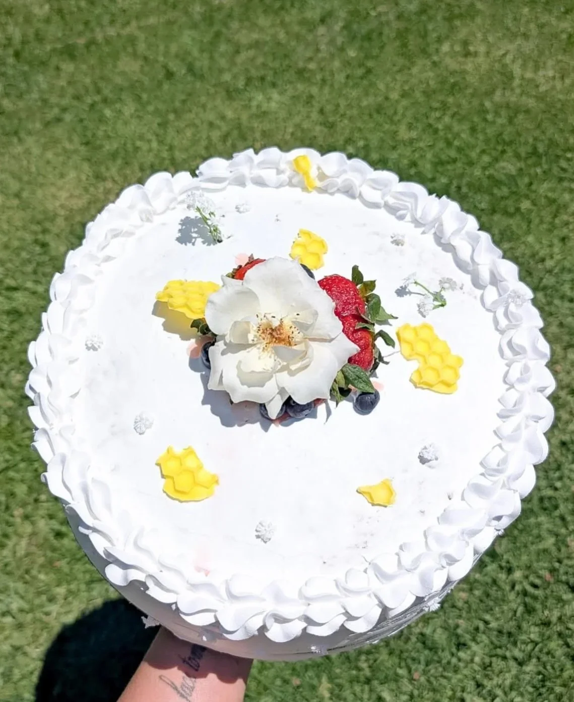 Tres Leches Cake 10in