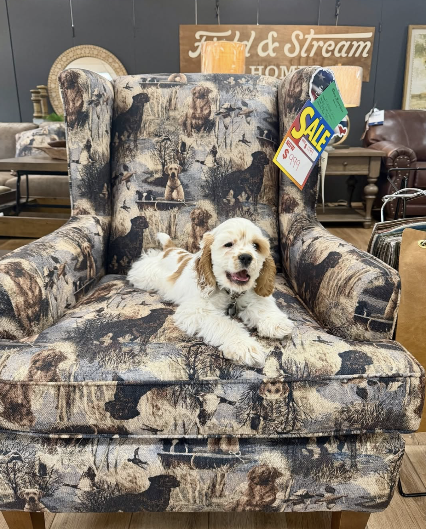 A small white and brown puppy lying on a patterned armchair with forest and dog designs, in a furniture store. The puppy is smiling with its mouth open, and there's a sale tag attached to the armrest.