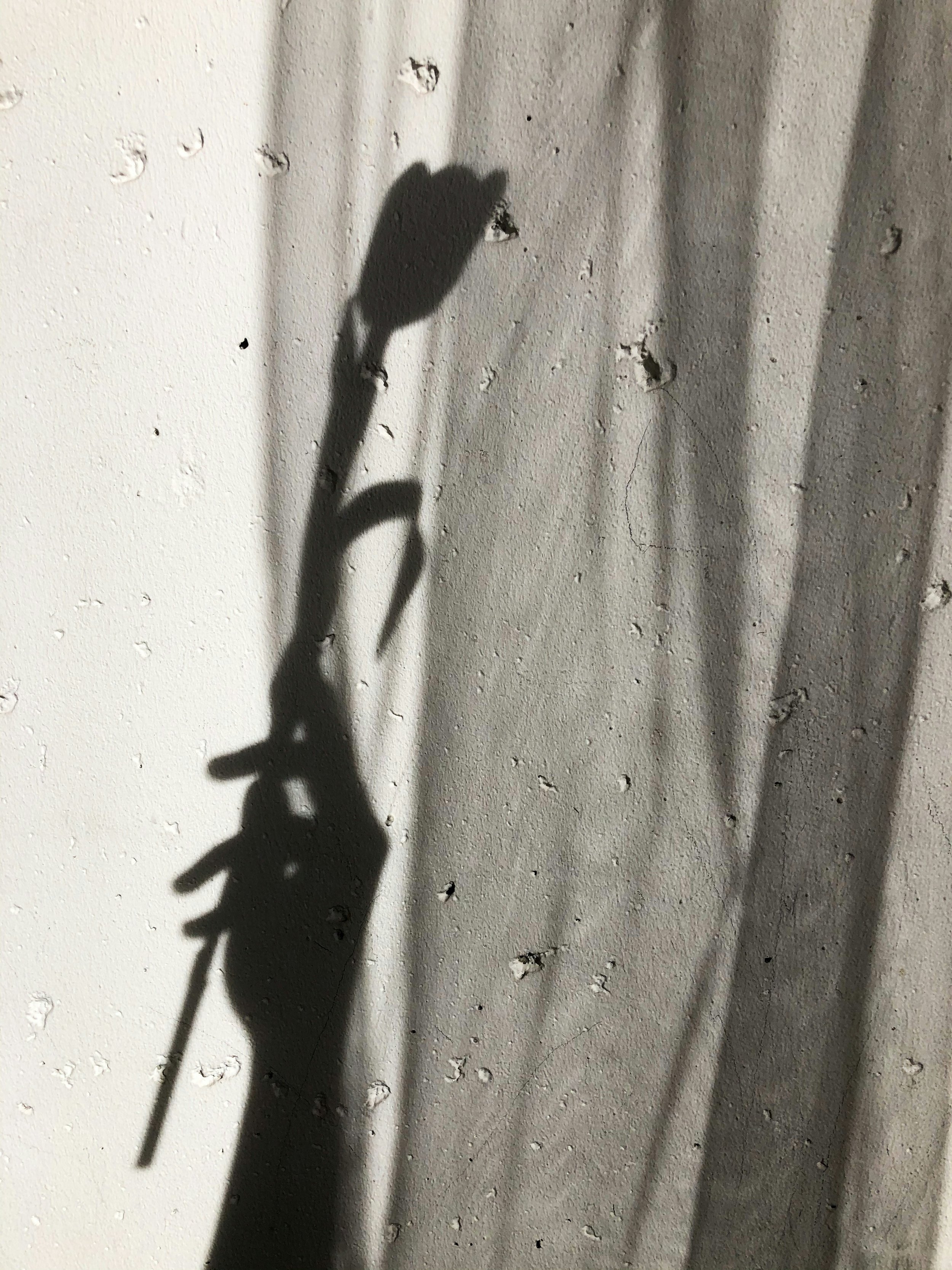 Shadow of a single flower on a textured wall with visible holes and shadows from nearby objects.