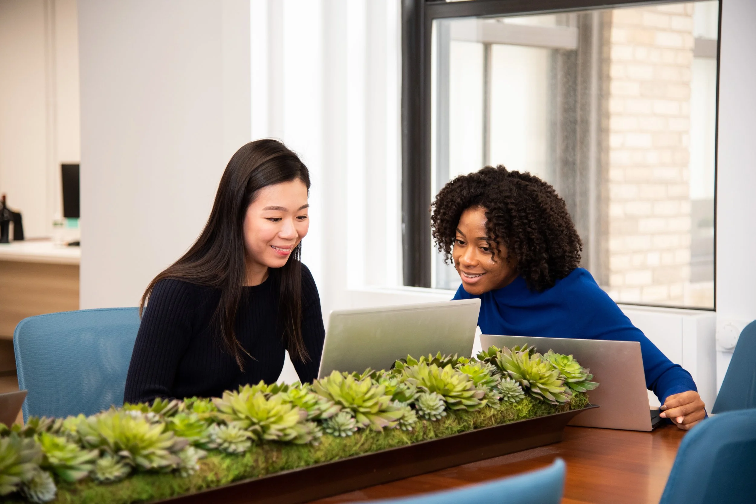 Two women working together at a desk with laptops, surrounded by a decorative planter filled with succulents, in a bright office space.