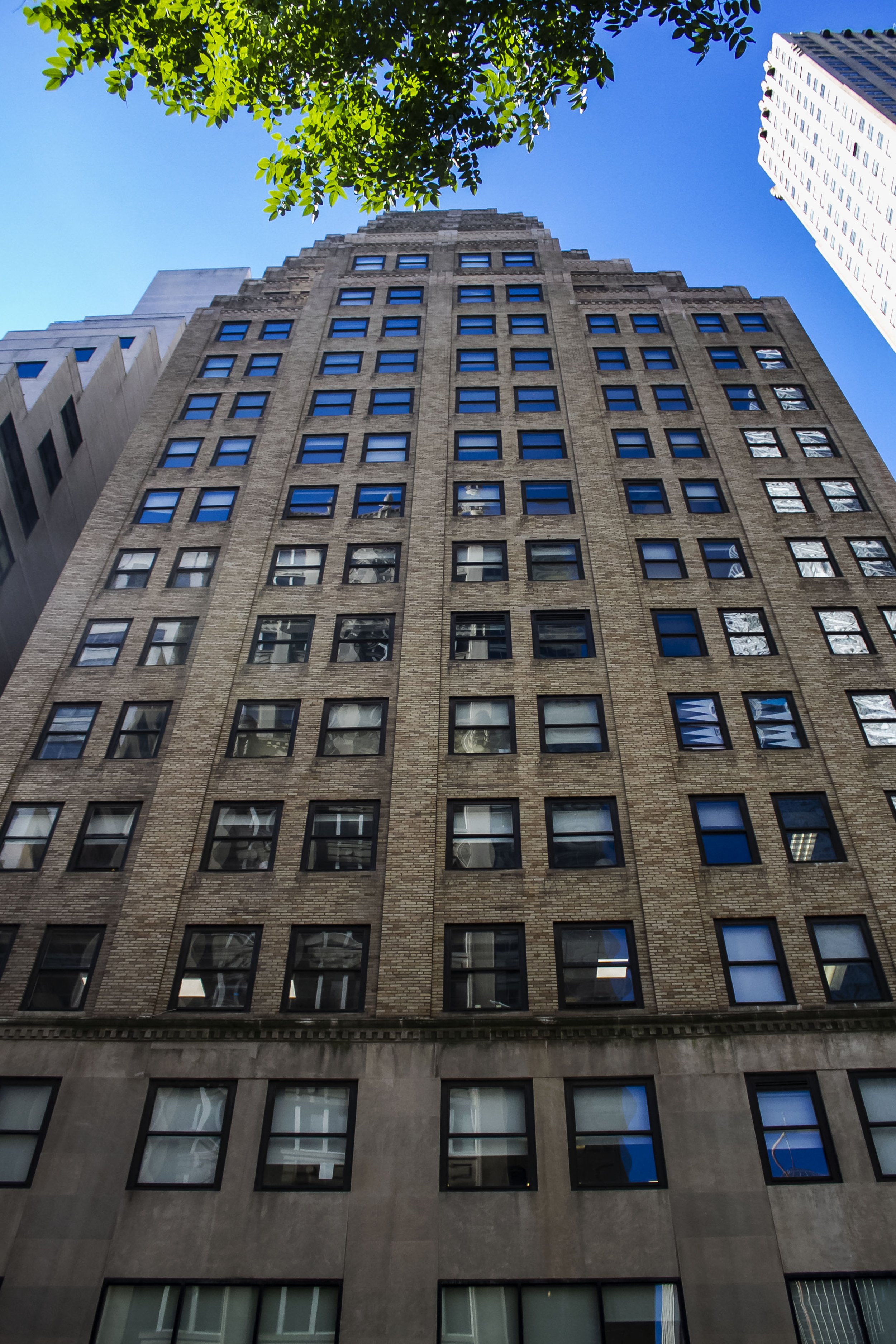 Looking up at a tall, historic brick office building with many windows, set against a bright blue sky with some green tree leaves at the top.