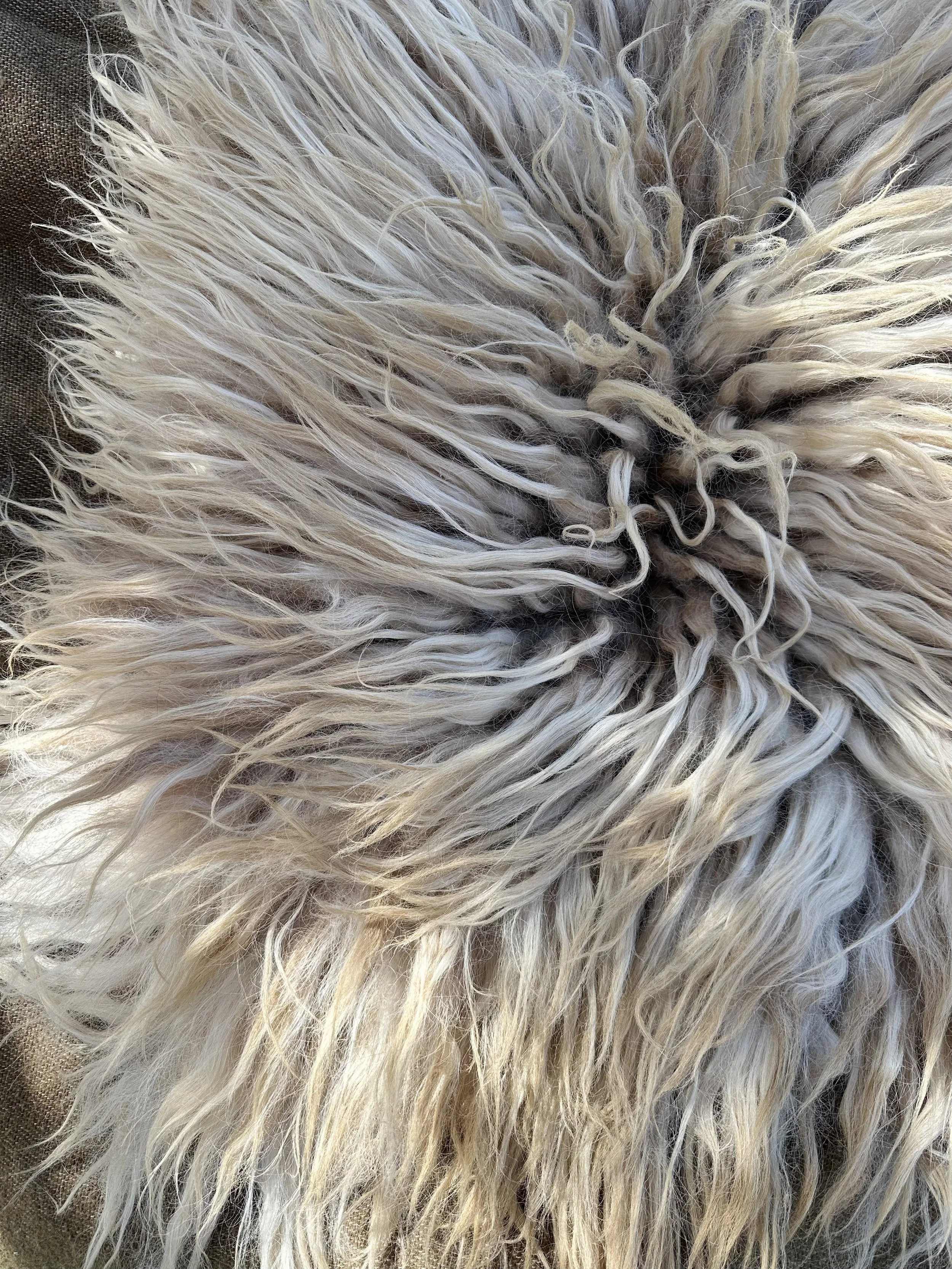 long white curl 12.jpg