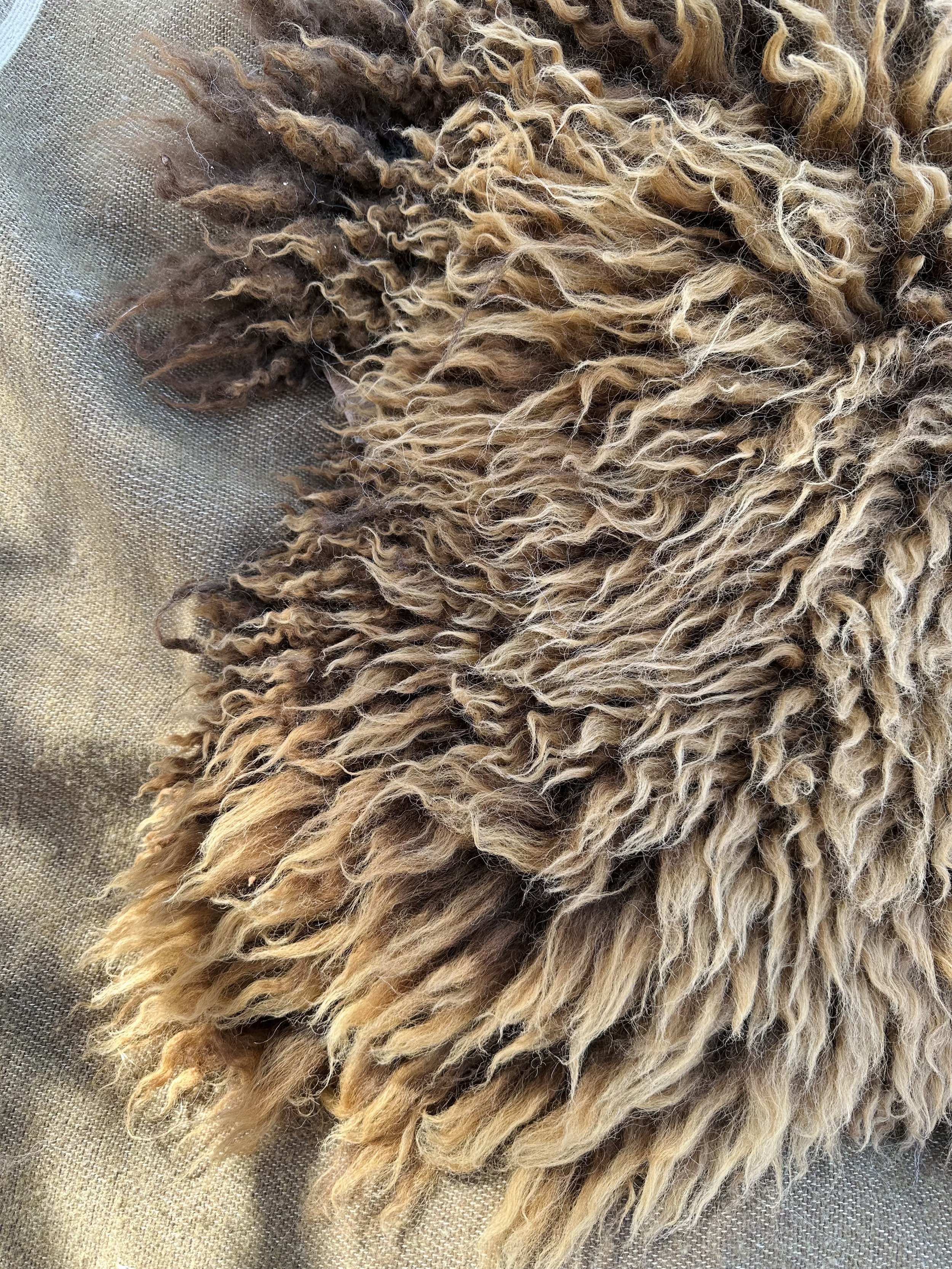light brown 12.jpg