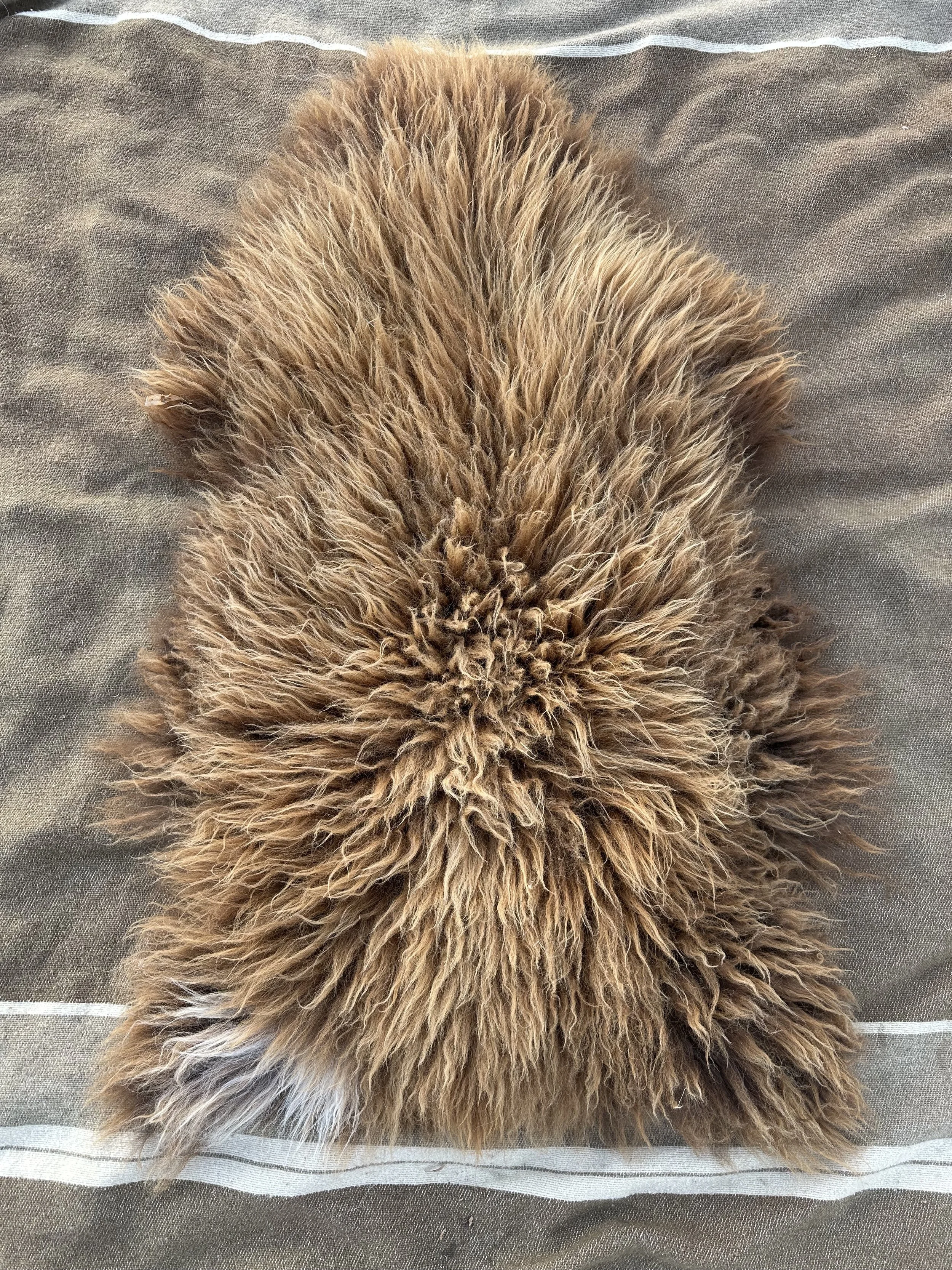 Light Brown Navajo Churro Sheepskin Rug