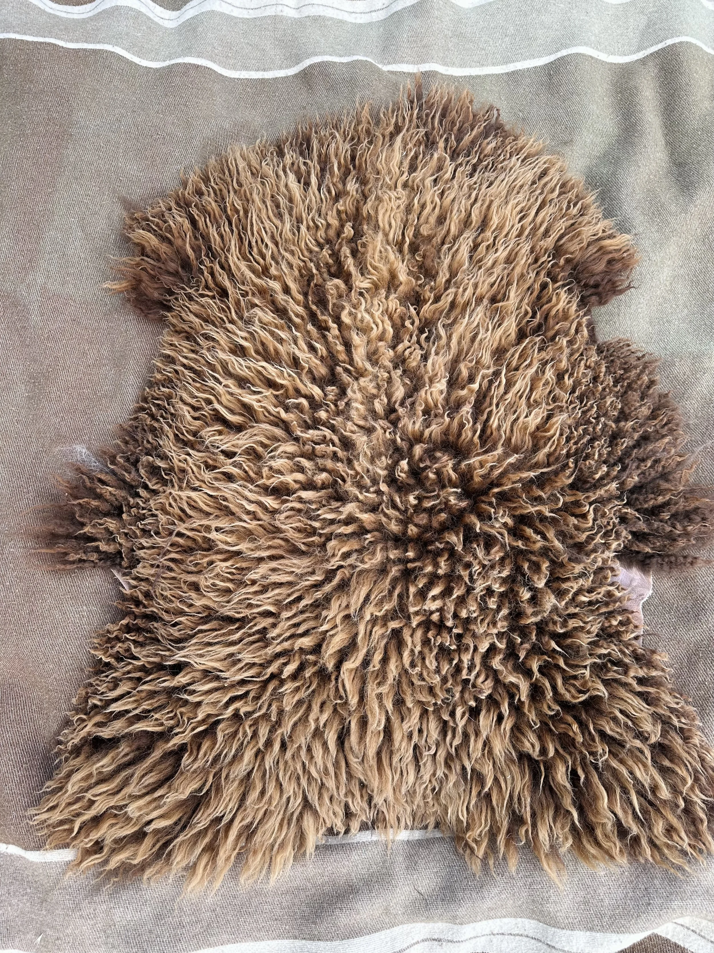 Brown and Gold Navajo Churro Sheepskin Rug