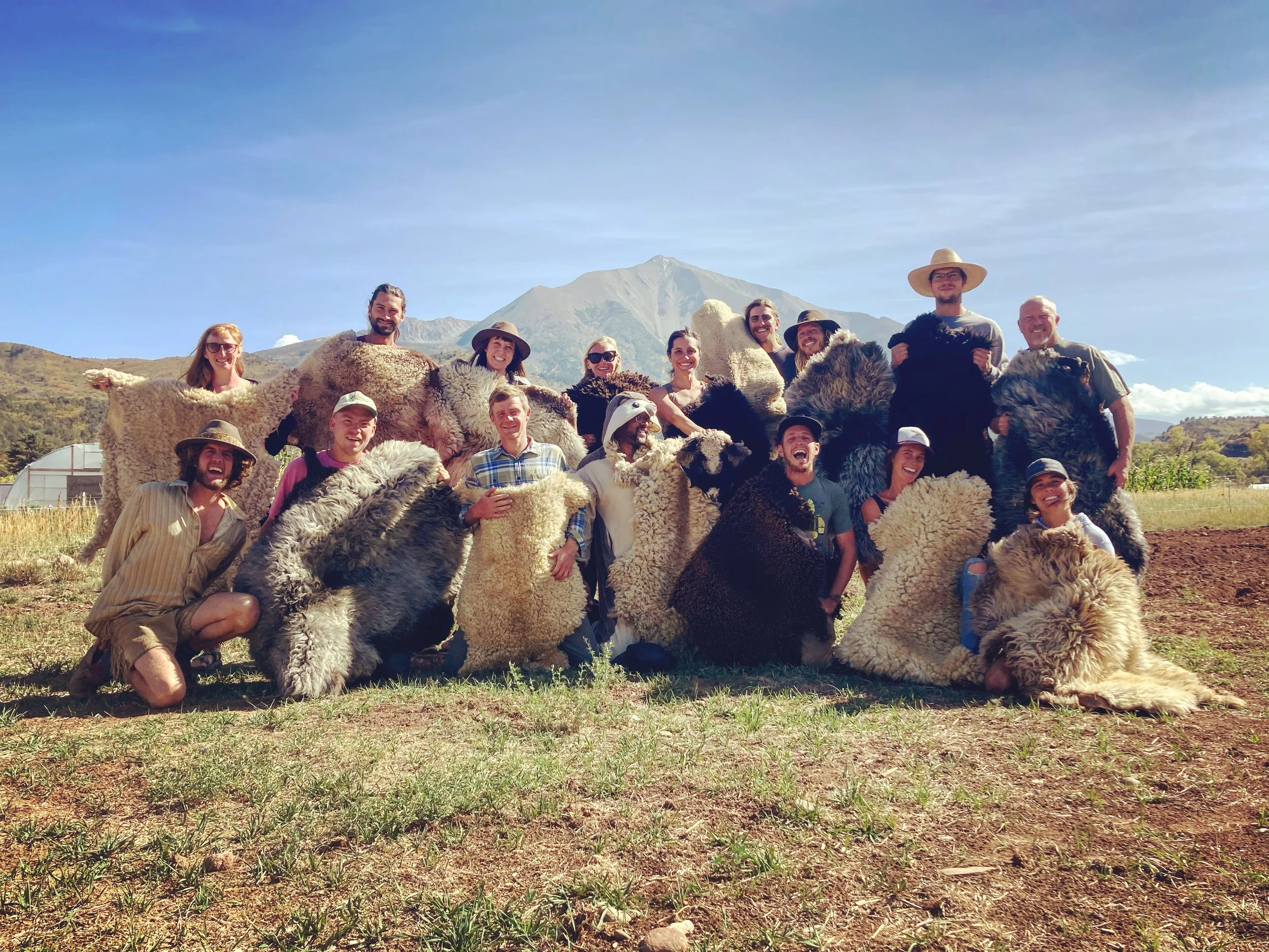 Sheepskin Hide Tanning and Animal Processing October 1st-4th Deposit