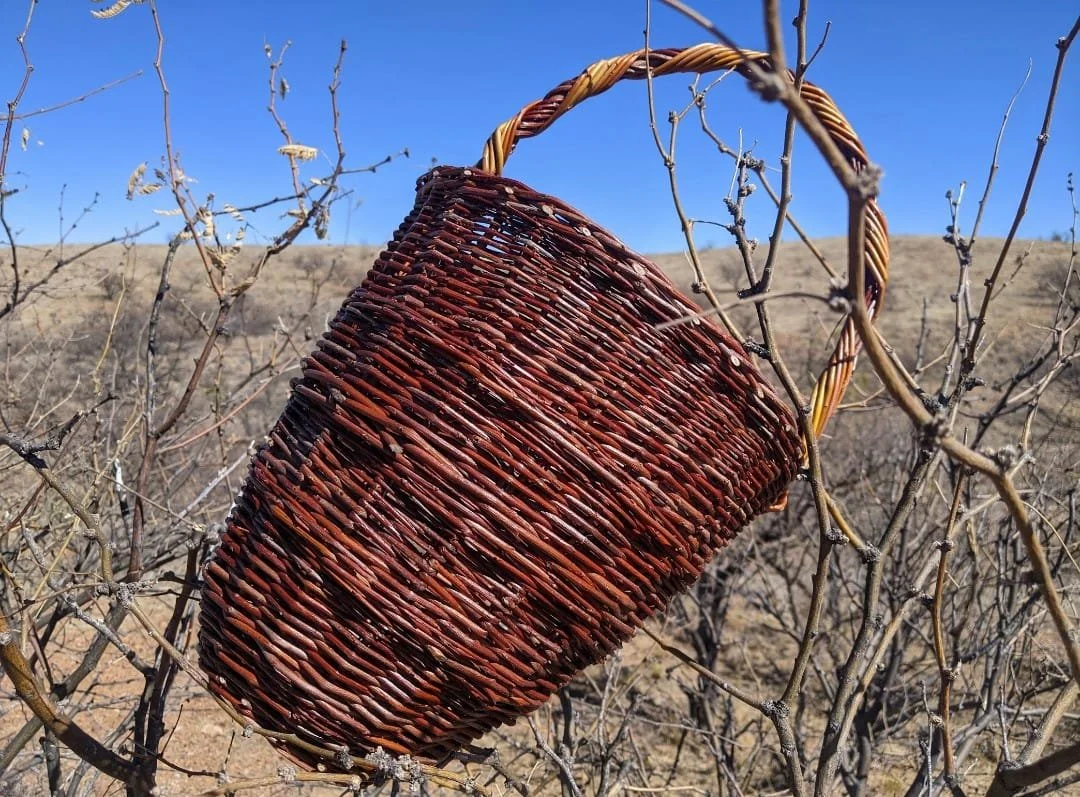 PHOTO-2026-02-07-12-57-15 2.jpg