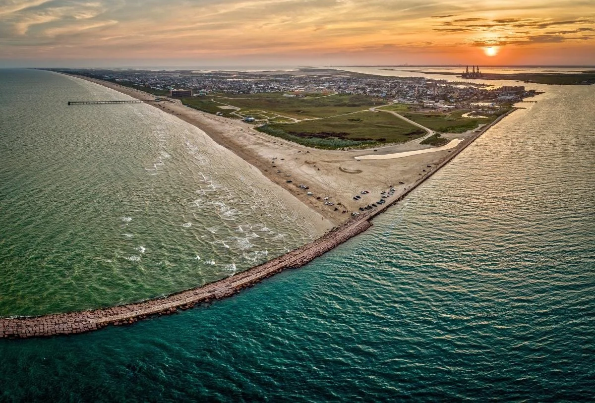 Walk the South Jetty (ships, dolphins, sea turtles)