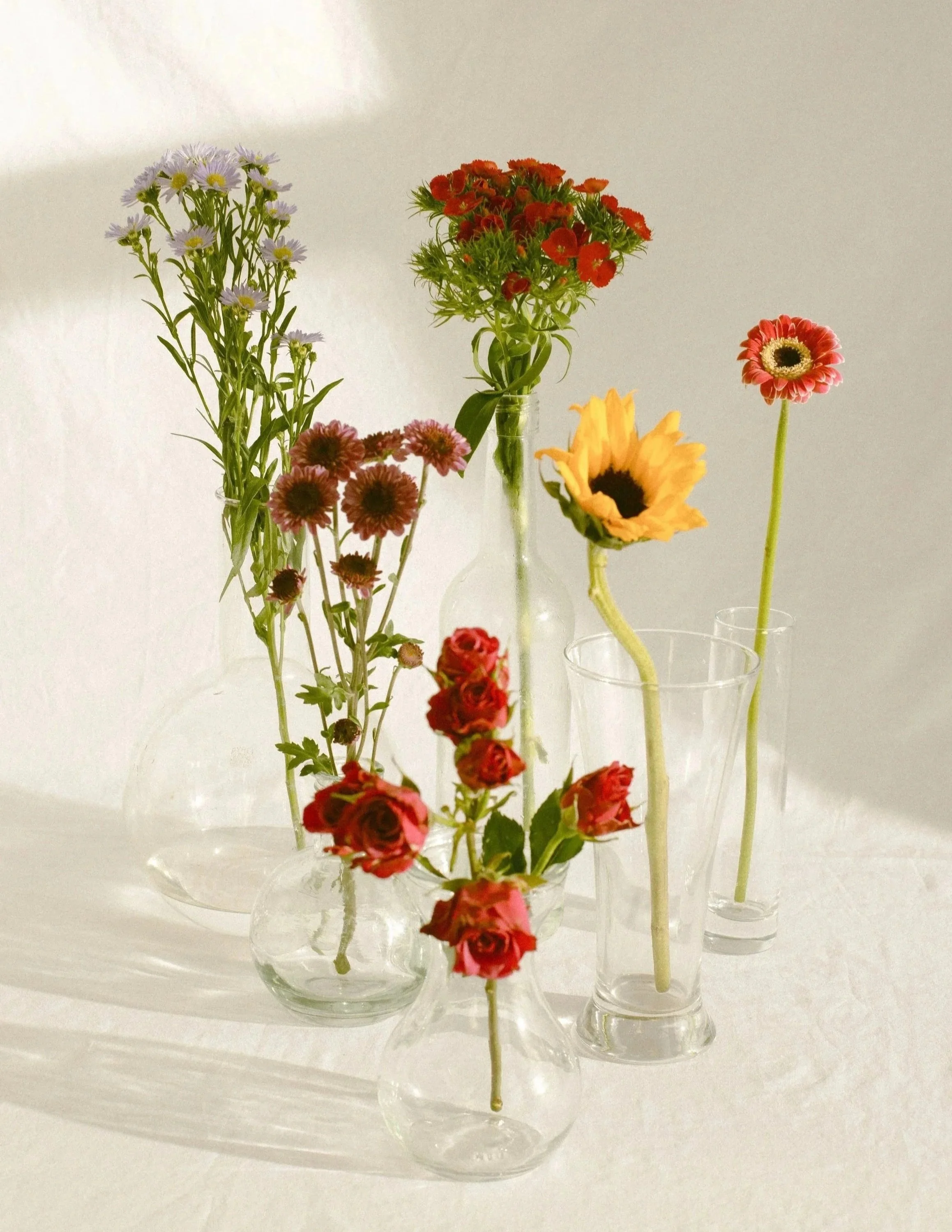 Colorful flowers in various glass vases on a white surface with a white background.