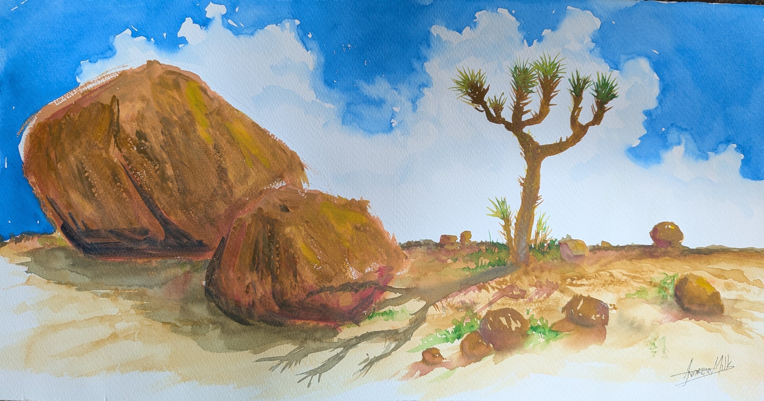 Mojave desert.