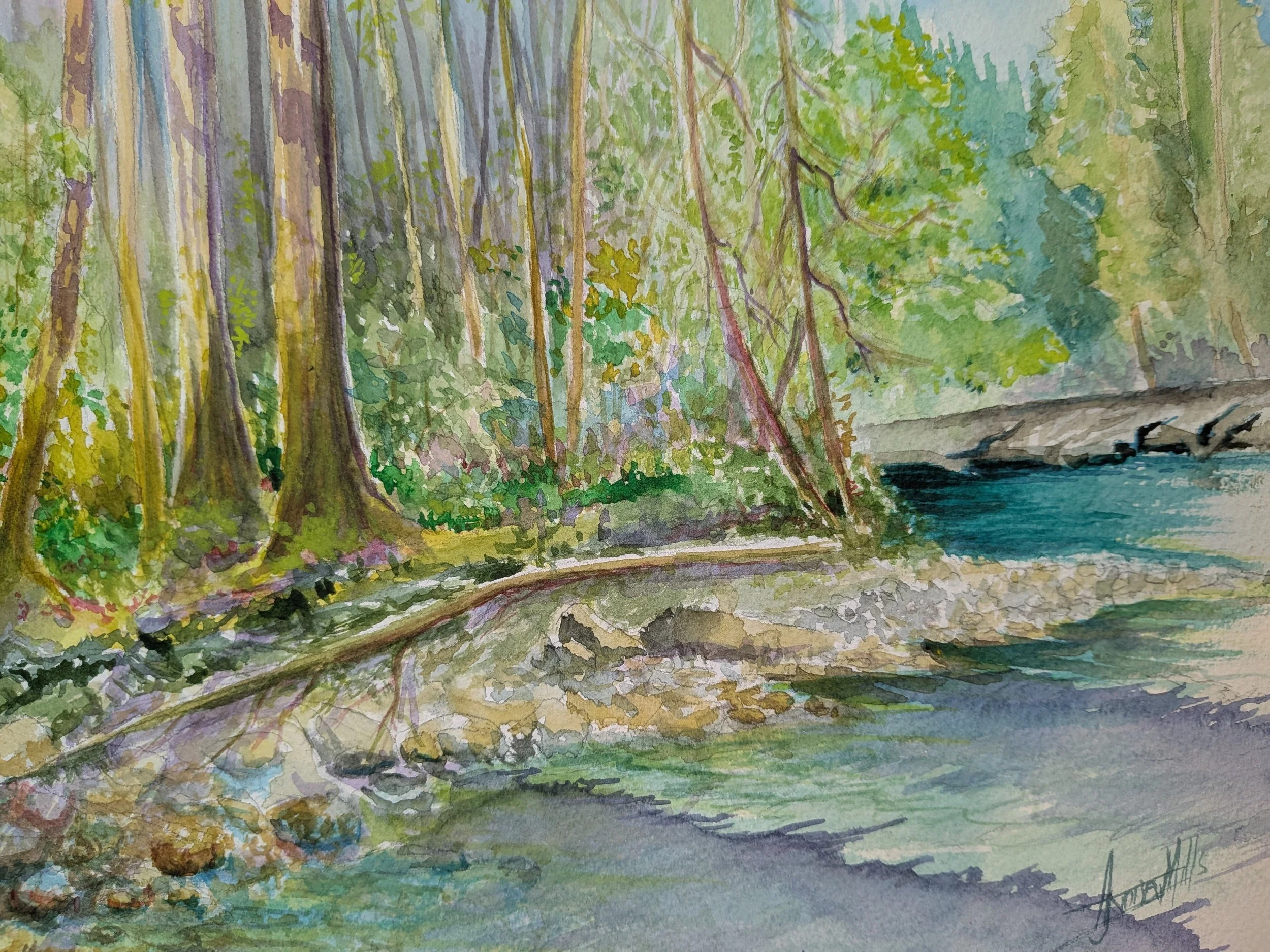 Hot Nanaimo River Day (Original)
