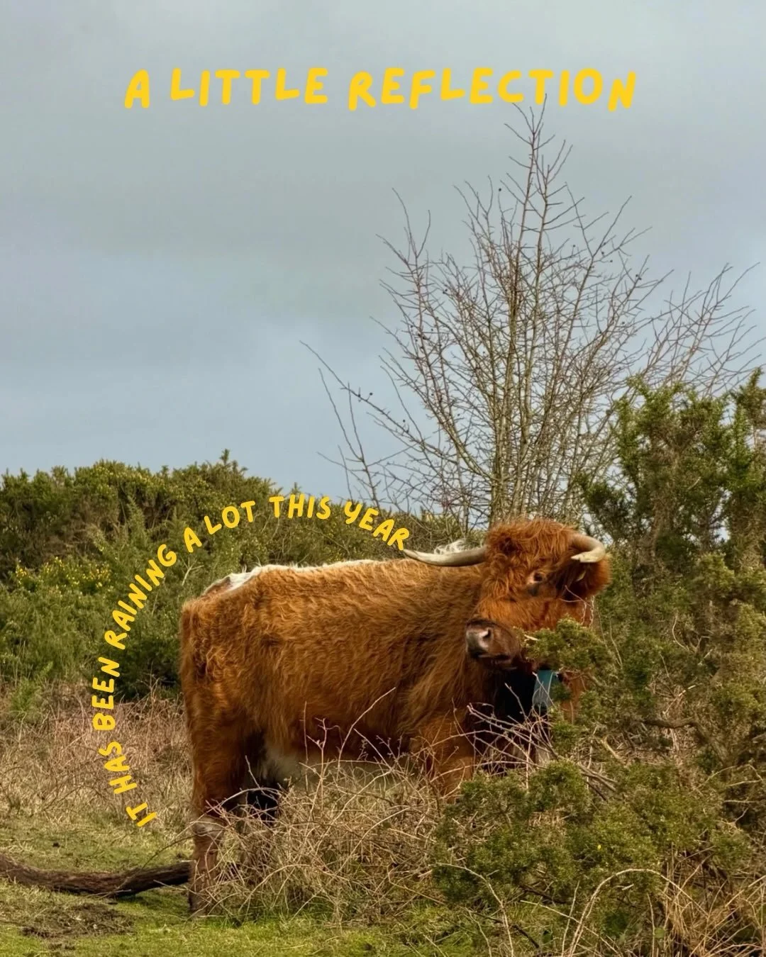 If I&rsquo;m honest, this season has felt a little slow.
Like I&rsquo;m putting in the work and not seeing much return yet.

But even in the rain, there&rsquo;s beauty.
And I&rsquo;m choosing to see it.

I love what I&rsquo;m building.
And I&rsquo;m 