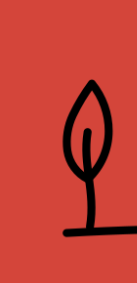 An abstract outline icon with a starburst contained within a circle shape.