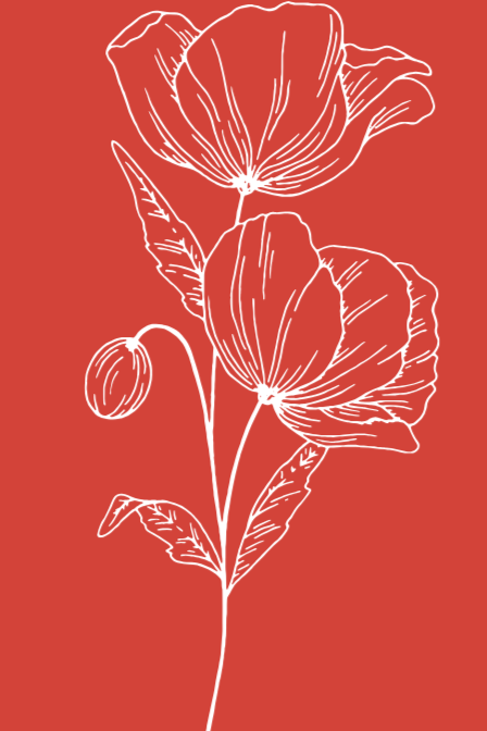 An abstract outline icon of a circle sliced into different proportions on the left and right sides, like a pizza.