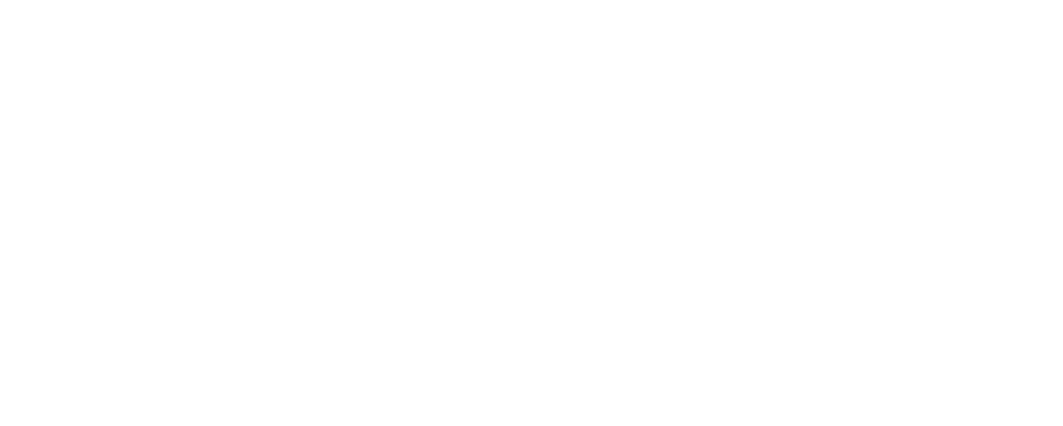Fortis Capital Restructuring