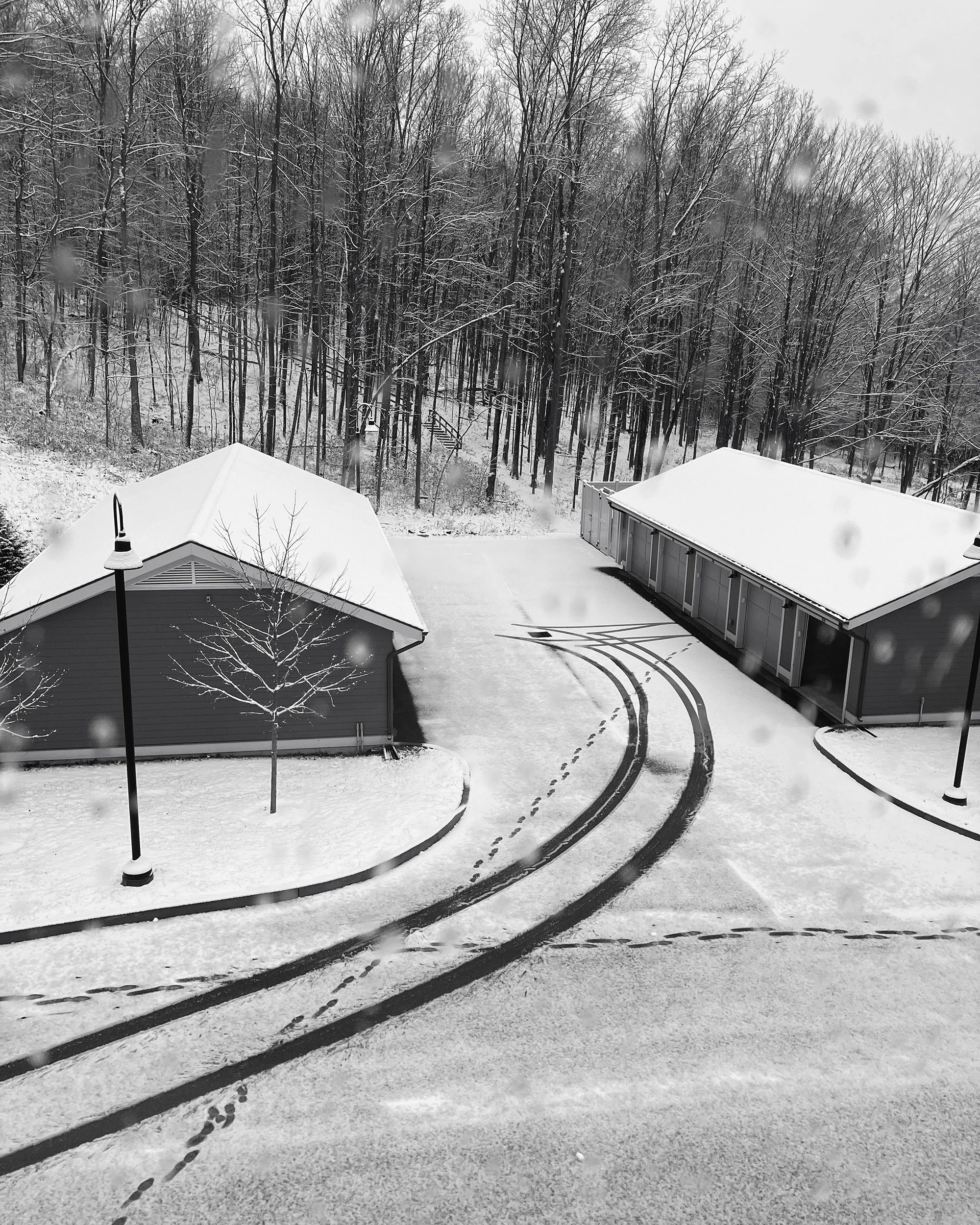 First snow_0786 BW.jpg