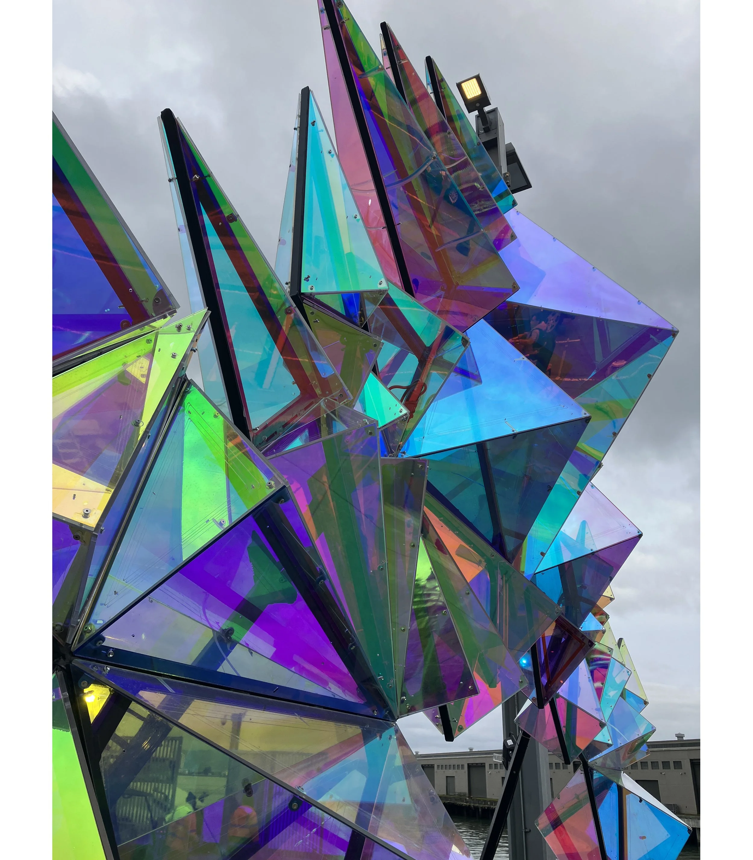 Colors_5281 final.jpg