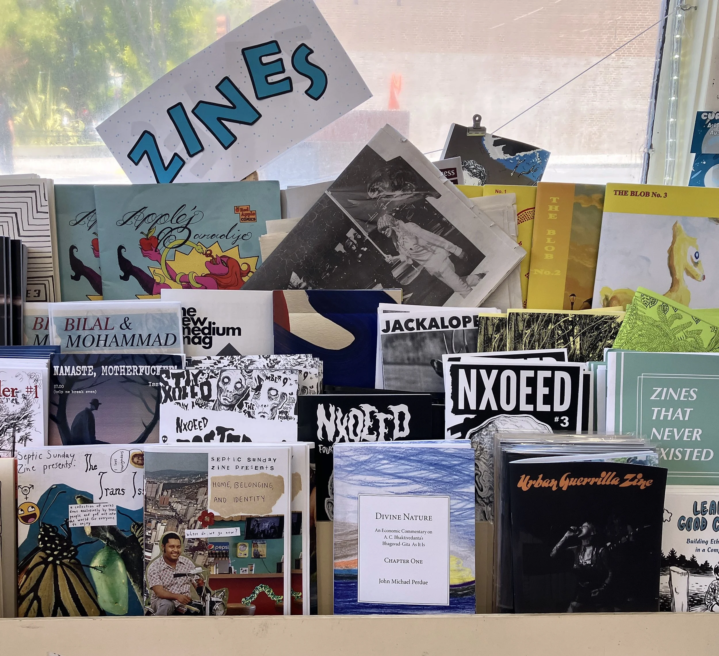 Zines at Pegasus_6658.jpg