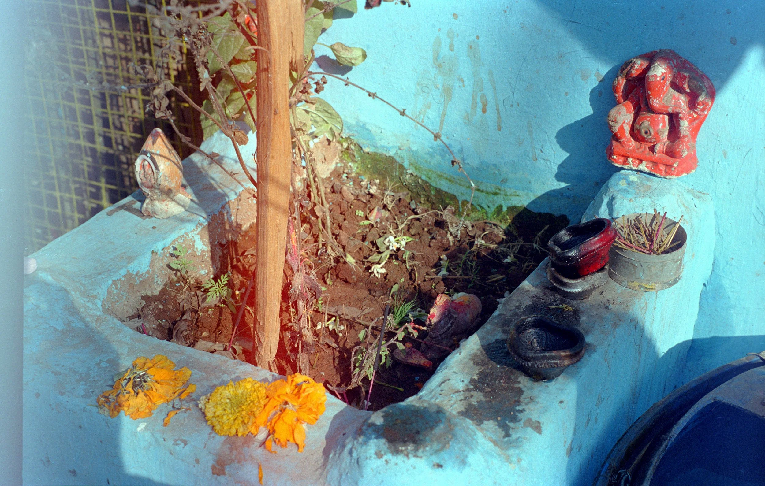 Ganeshpuri 07 flowers.jpg