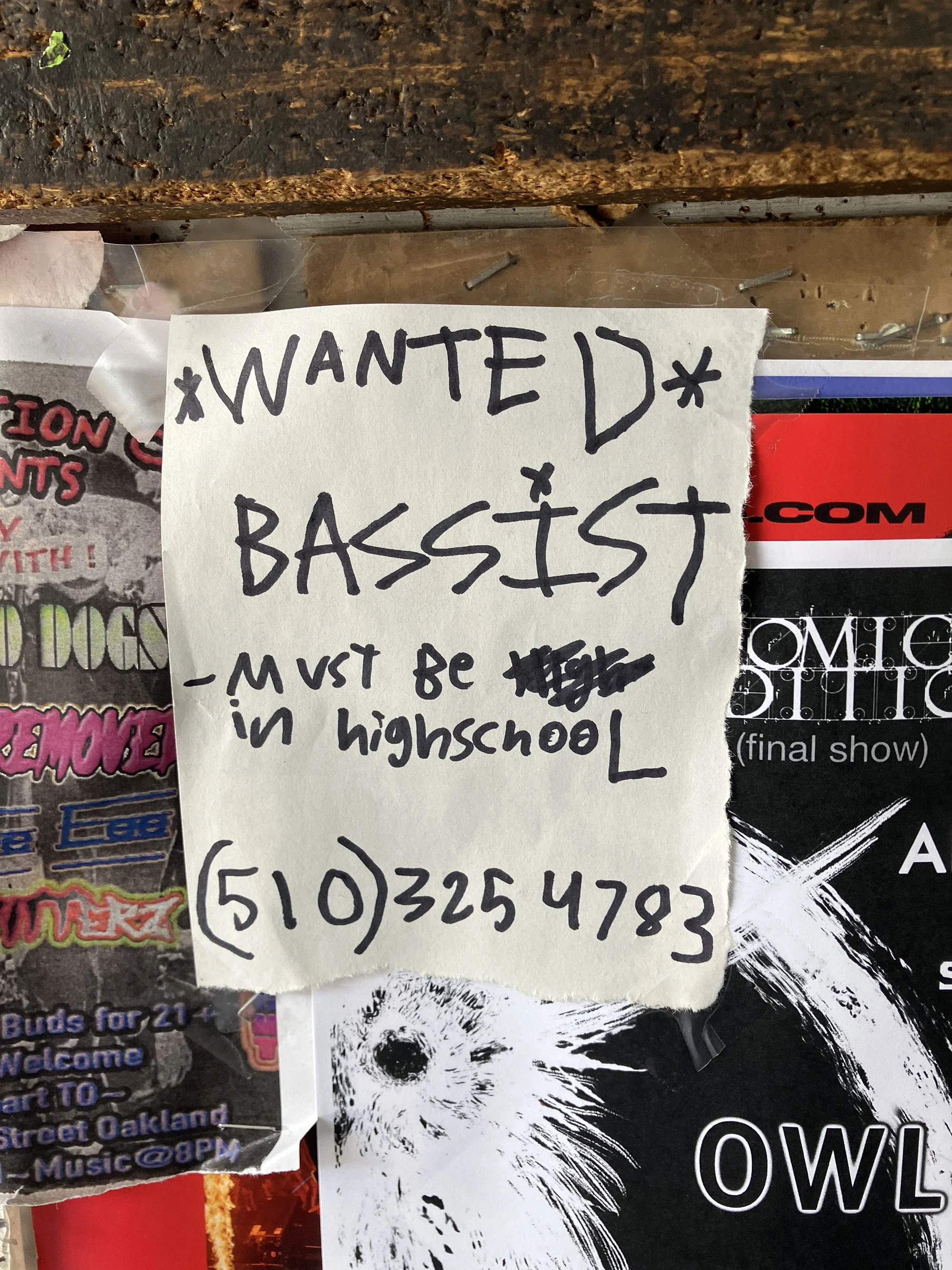 bassist Wanted_6746 final.jpg