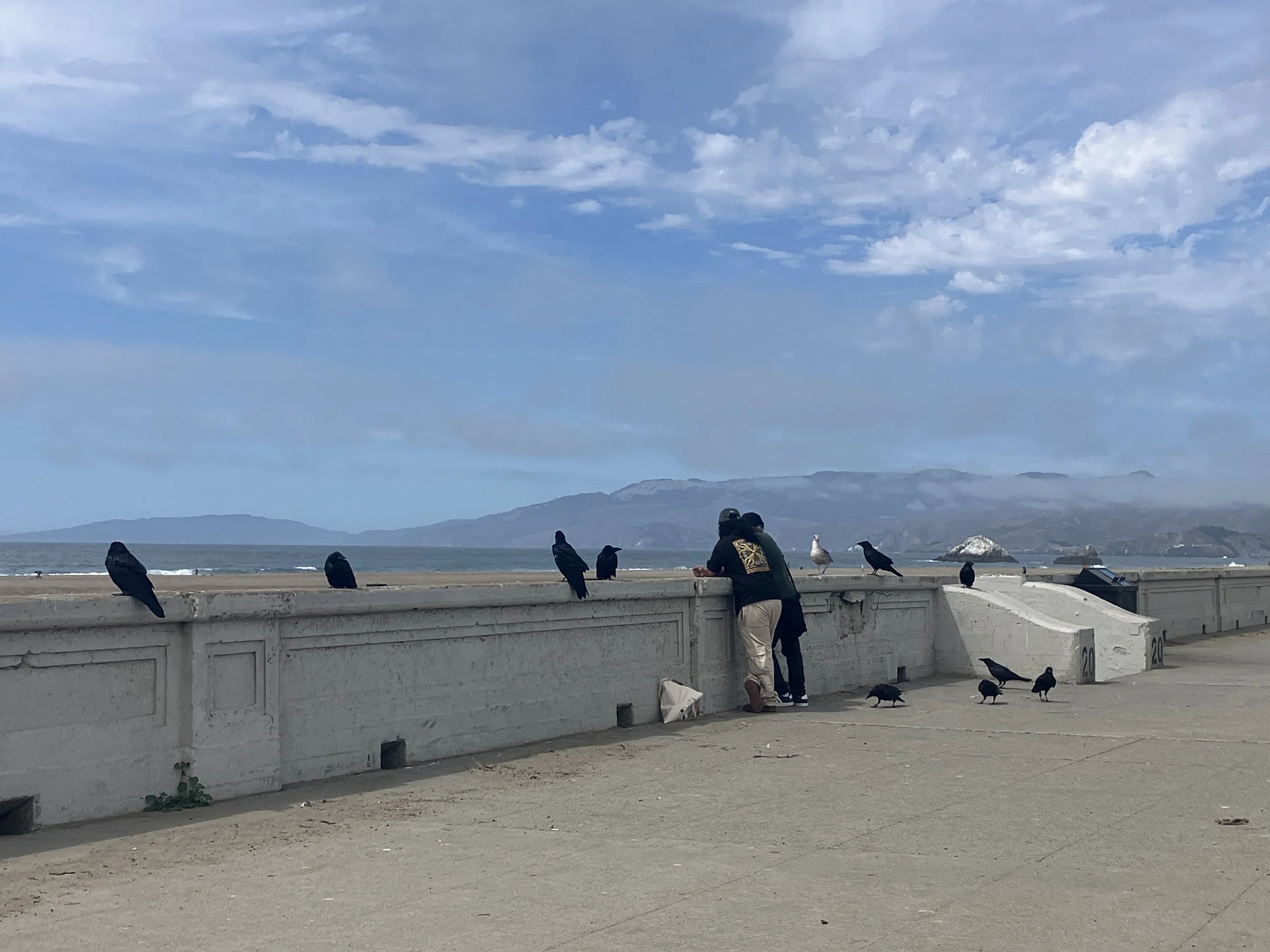10 Crows and 2 Guys_6781.jpg