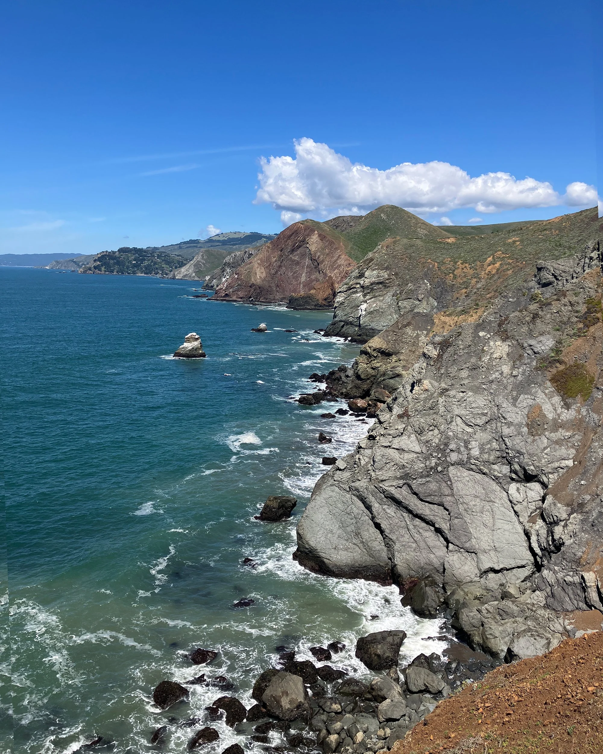 Coast_5857 4x5.jpg