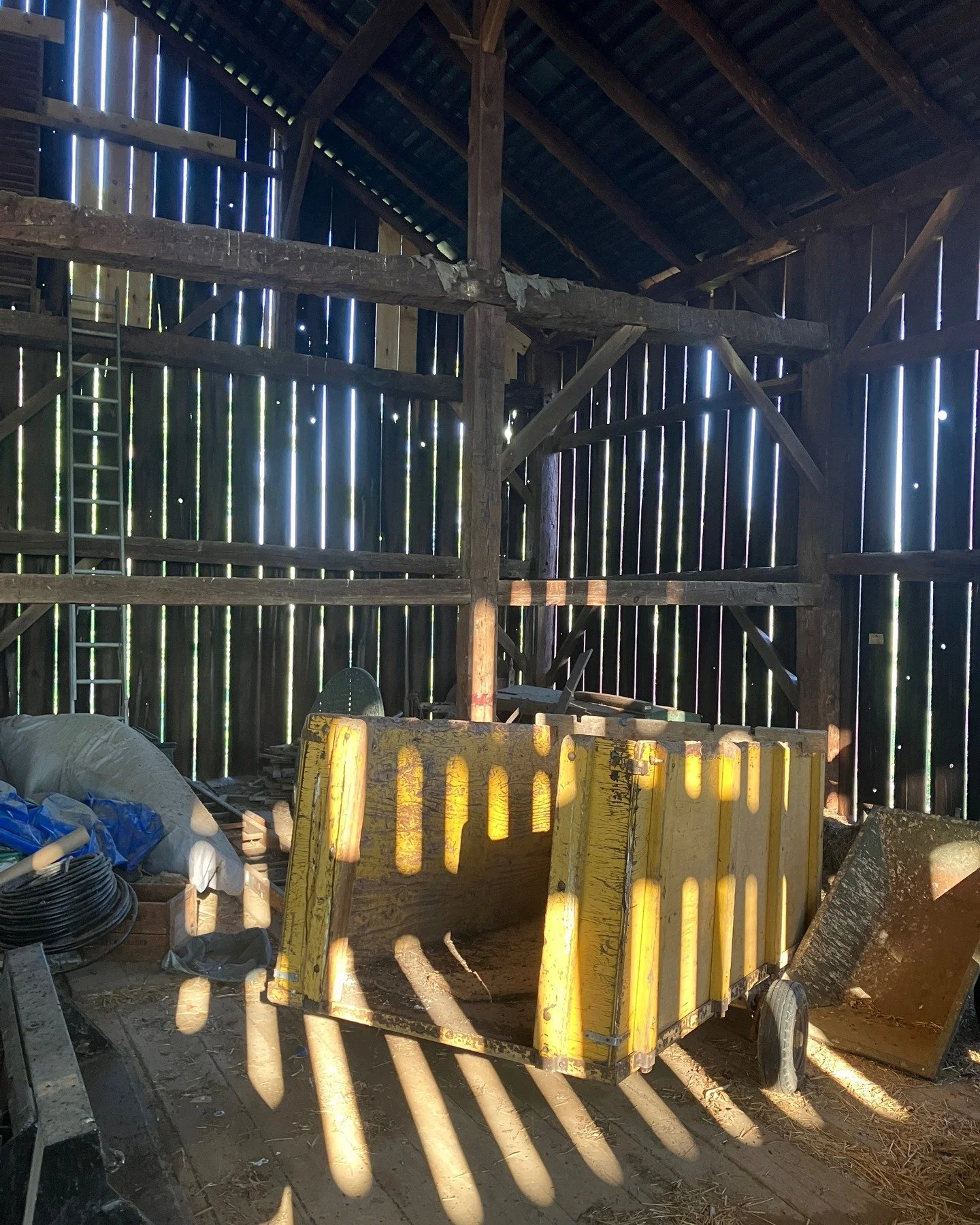 18282132982286544 copy.jpeg