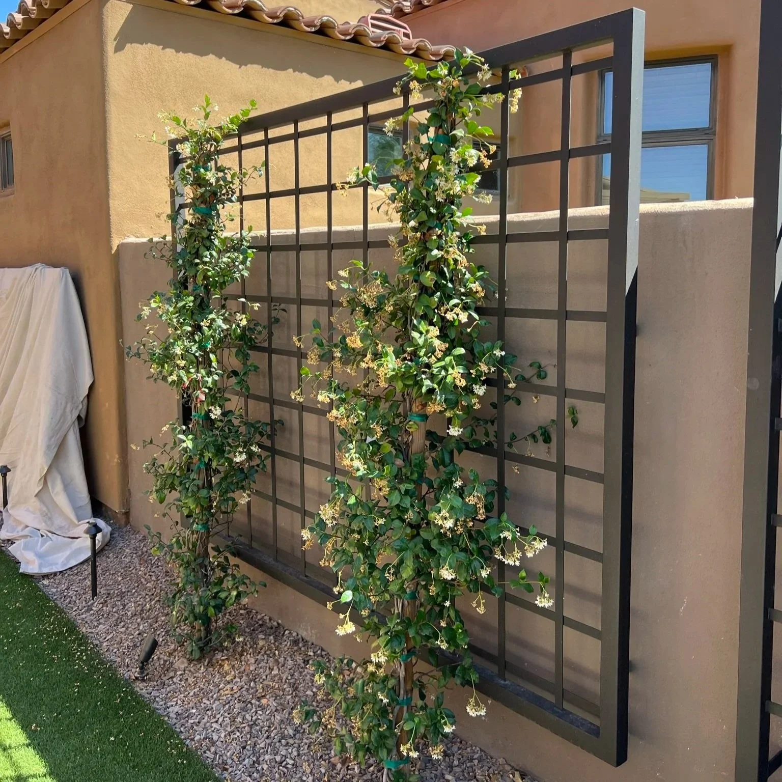 Vines growing around a black metal trellis attached to a beige wall outside a building with windows.