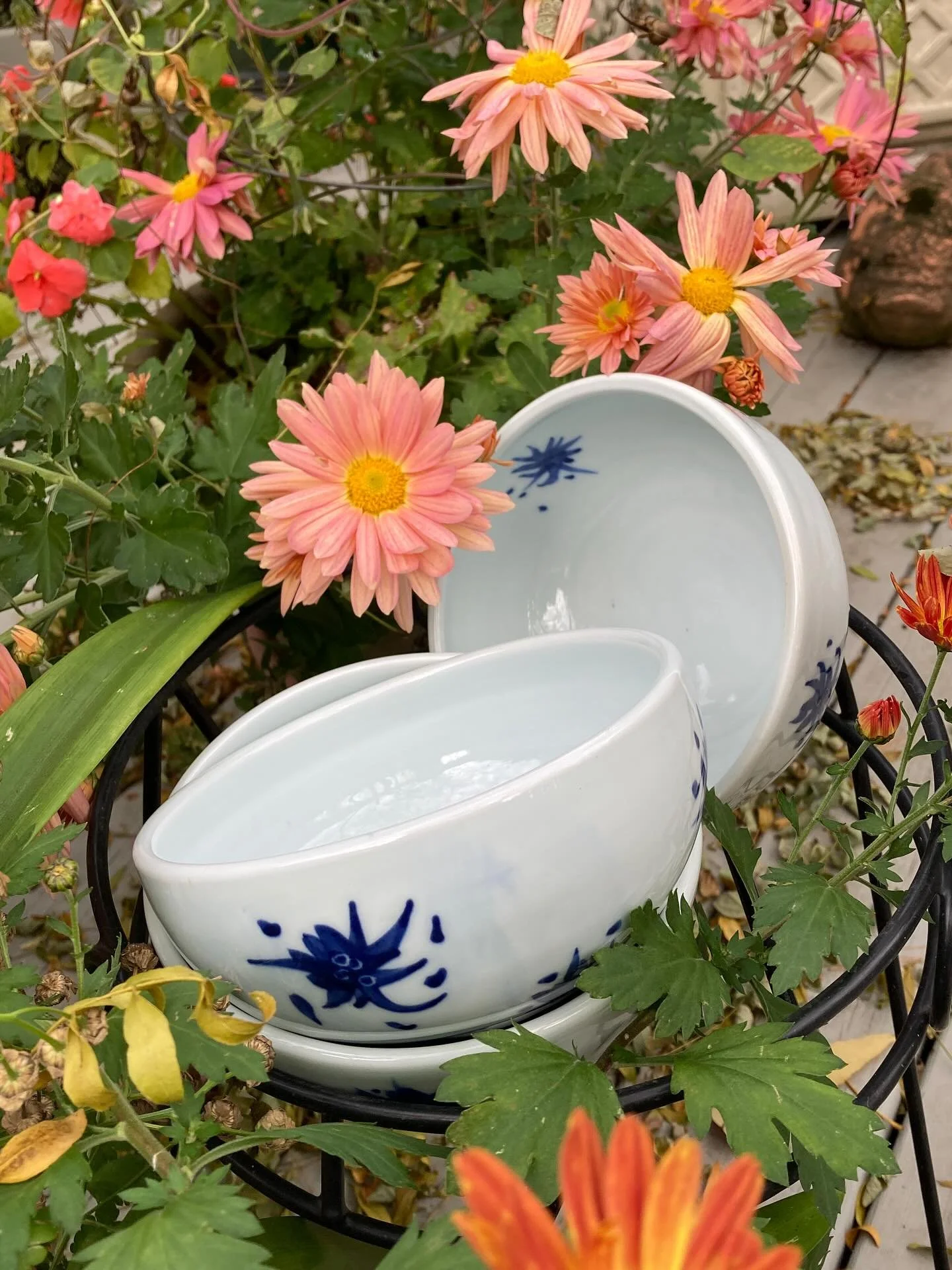 Three  soup bowls and the beautiful mess of fall.
English porcelain, gas, cone ten.