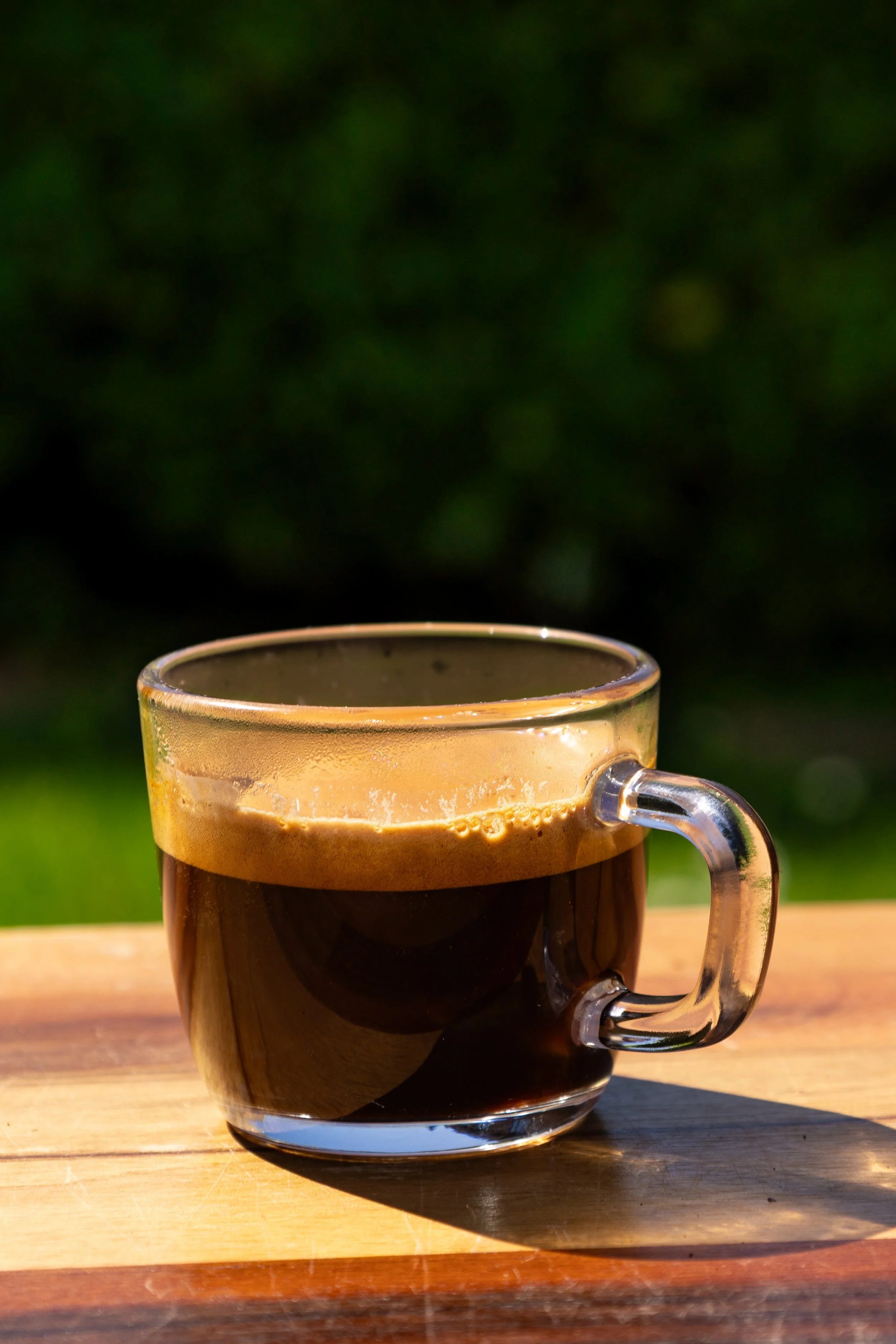 Katie Cecilova_Spore Brew Espresso 2.00.jpg