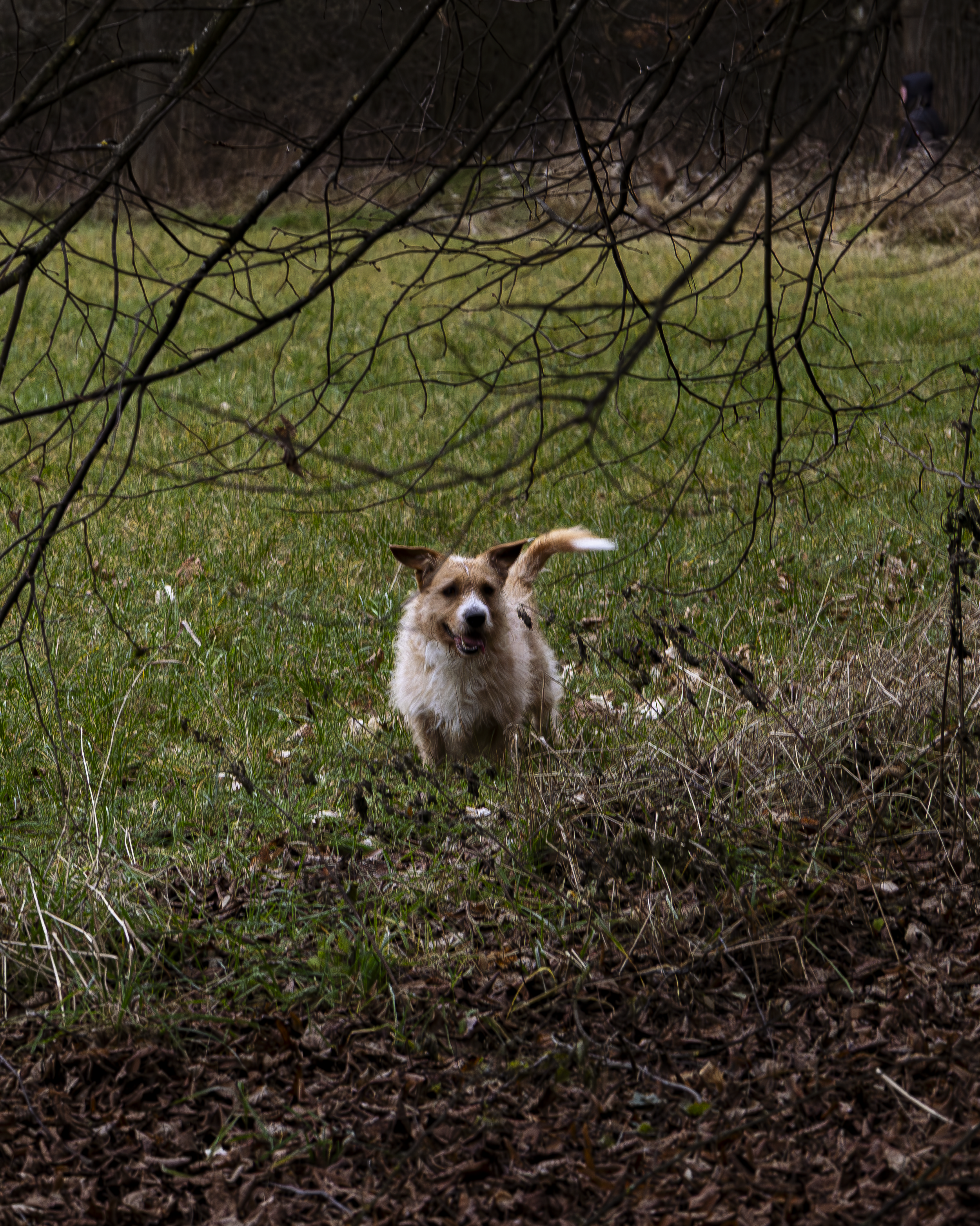 CapturebyKC_Me-7 2.PNG