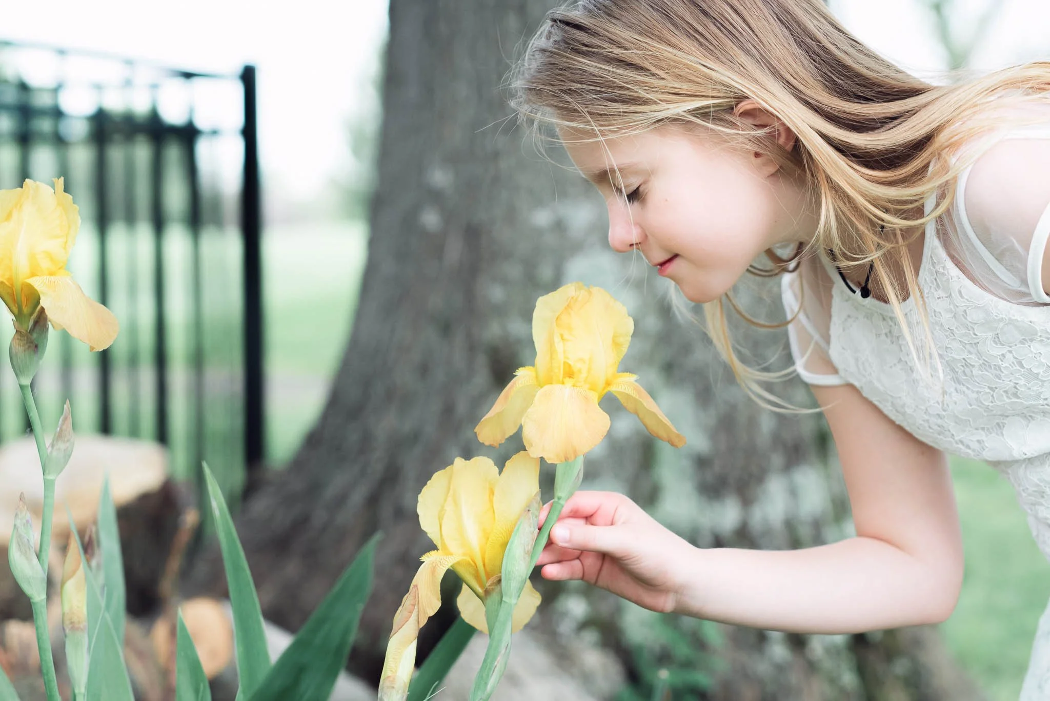 Real, joyful moments captured naturally. Stress-free lifestyle and family photography sessions that showcase authentic connections and memories.