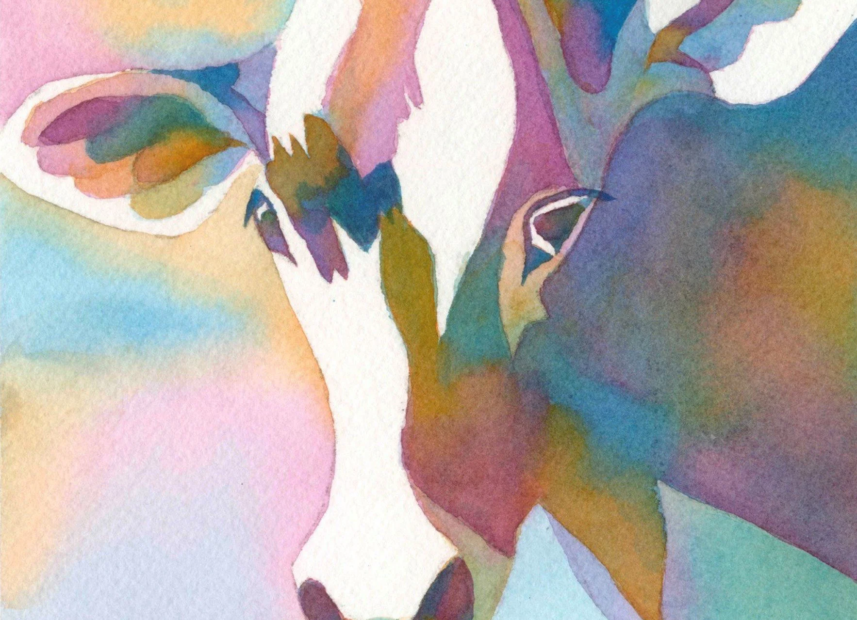 What is an otrovert? (Hint: not an introvert, extrovert, ambivert or omnivert)